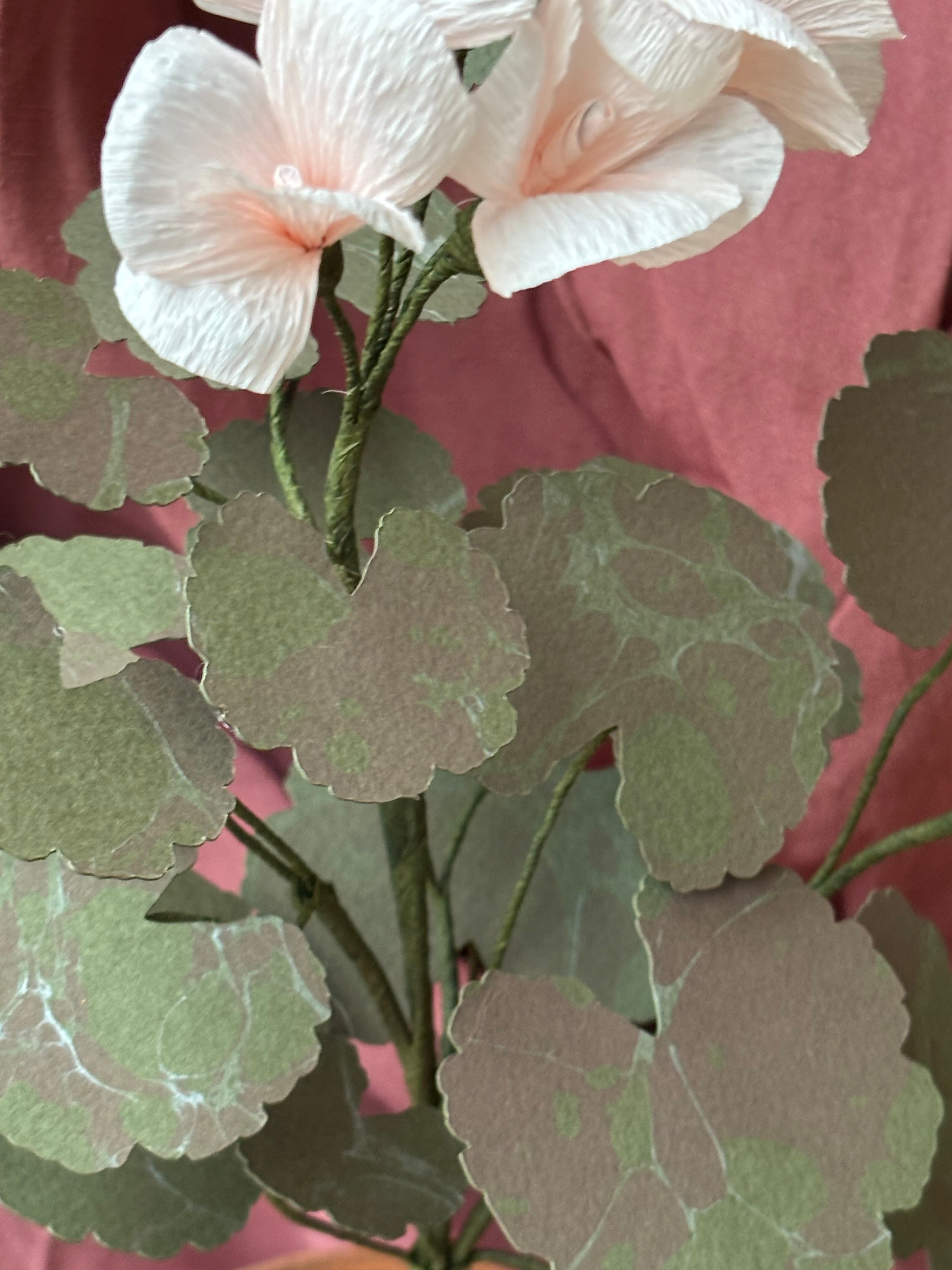 Paper Geranium