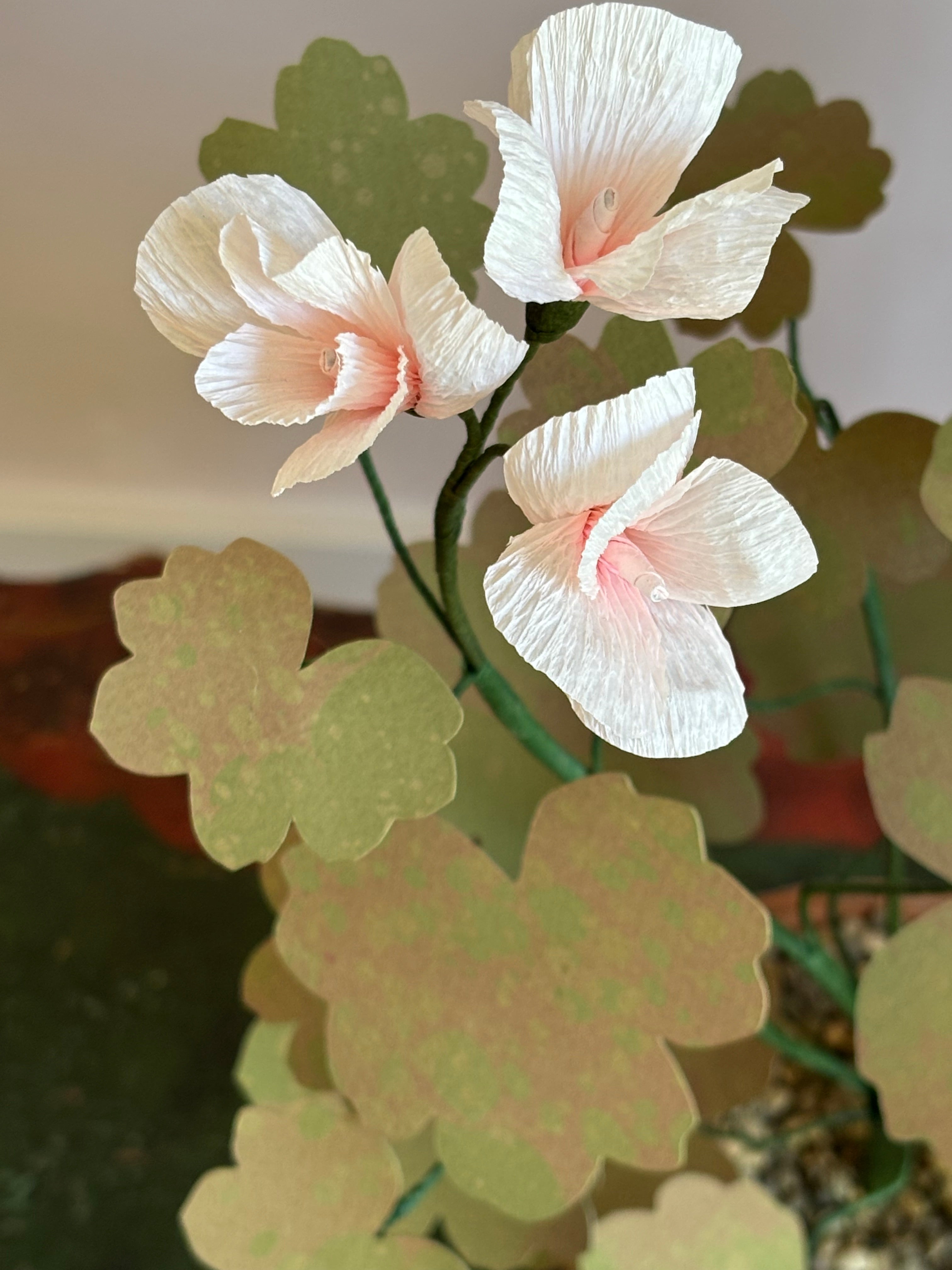 Paper Geranium