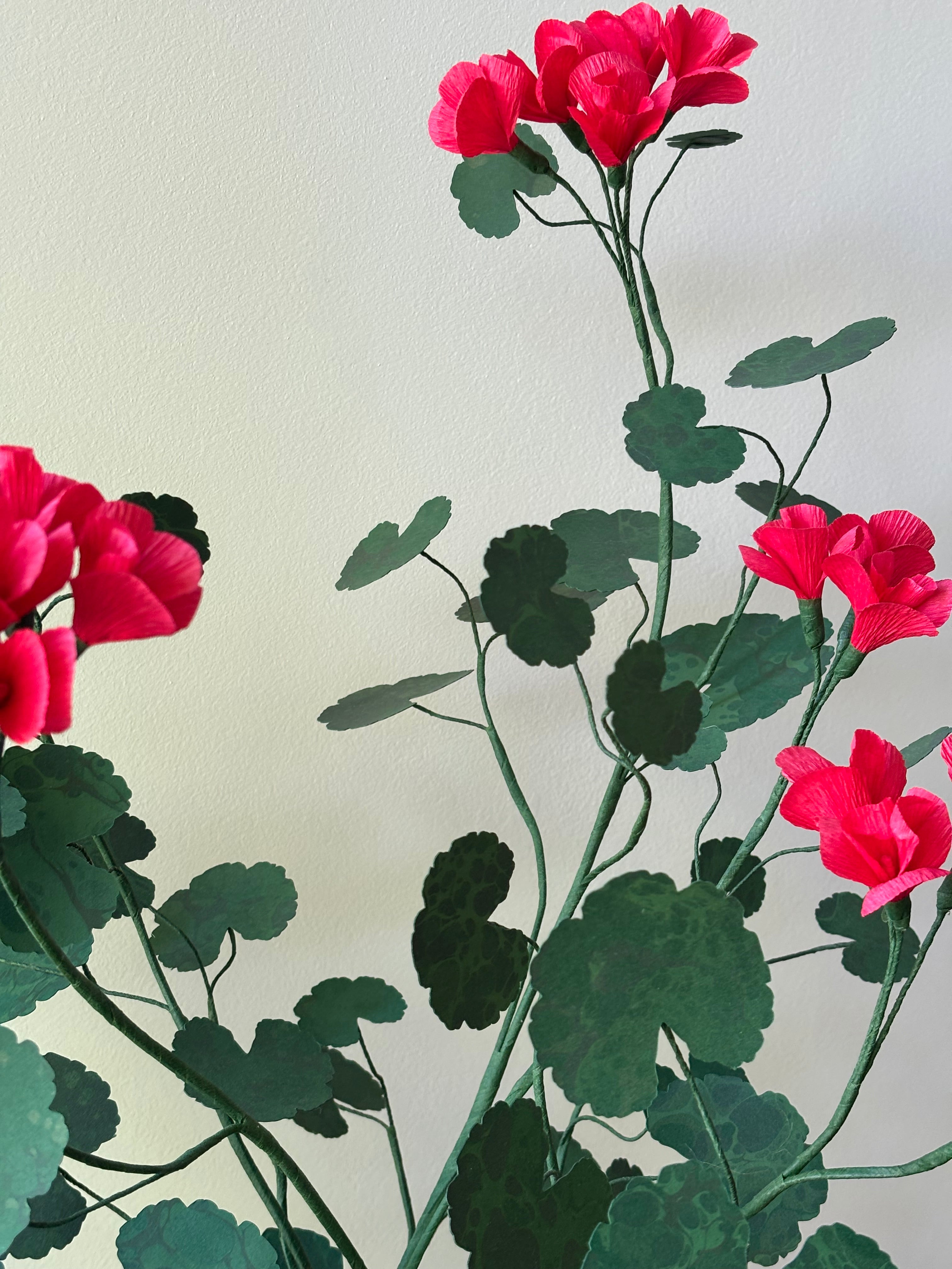 Paper Geranium