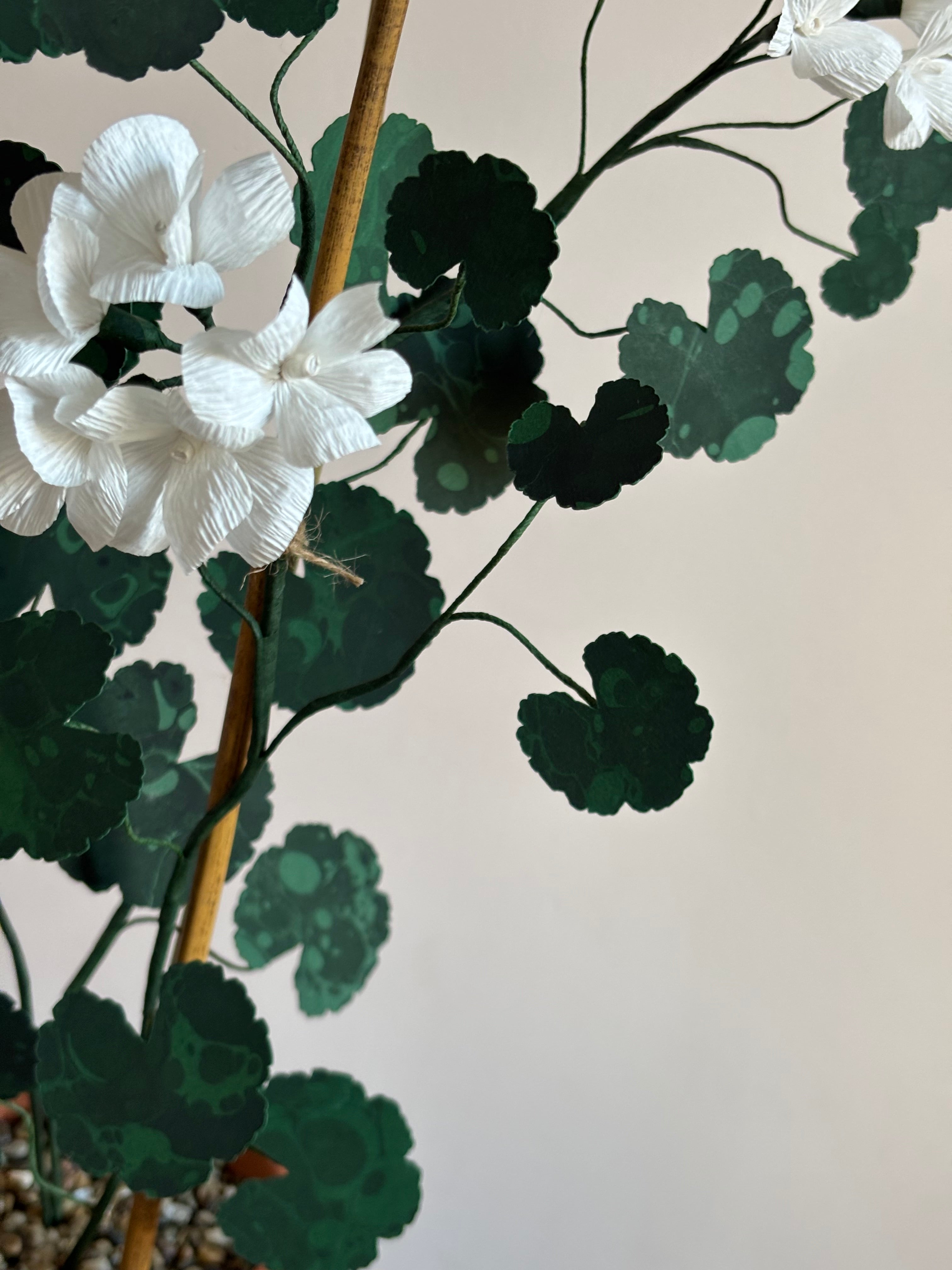 Paper Geranium