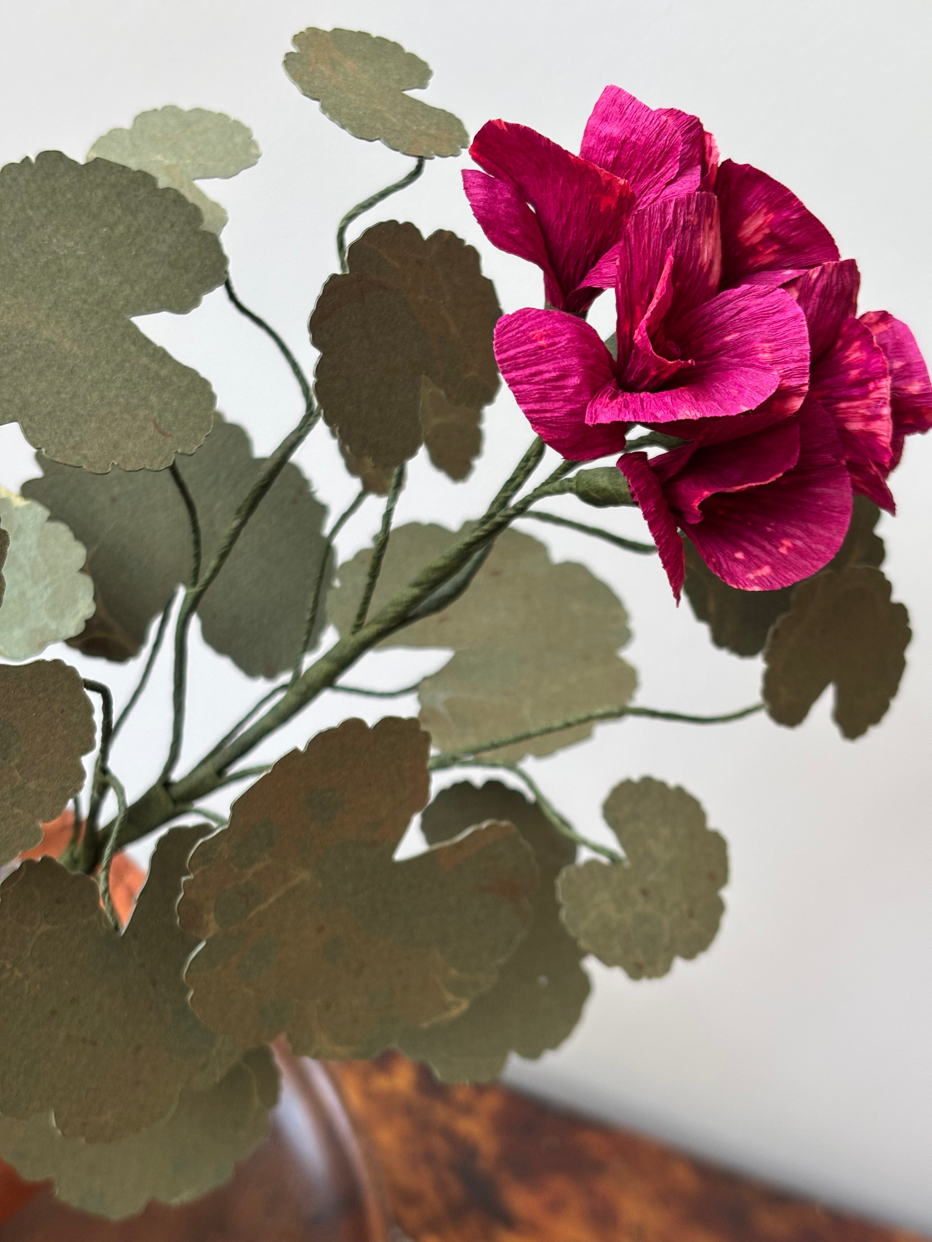 Paper Geranium