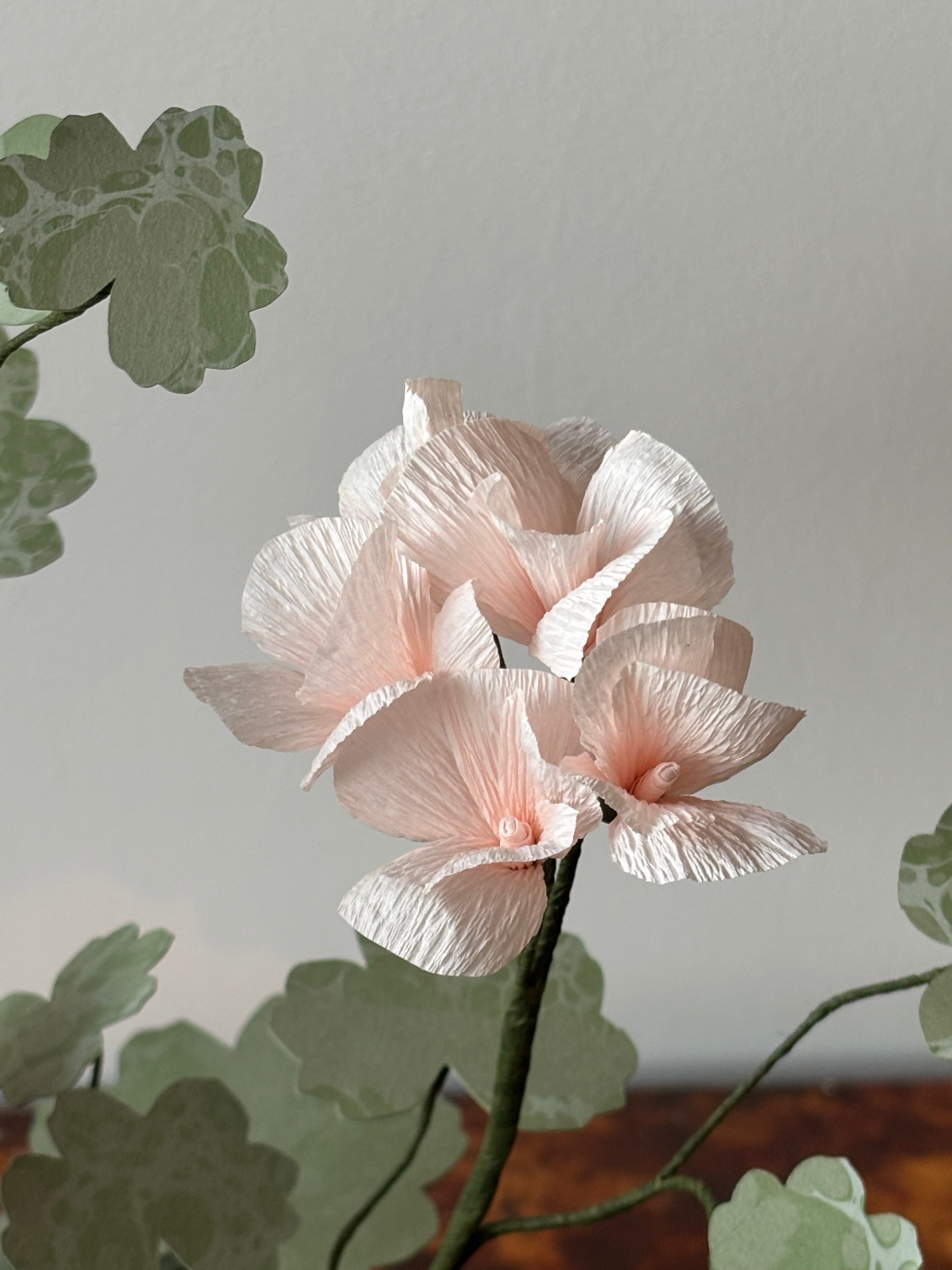 Paper Geranium