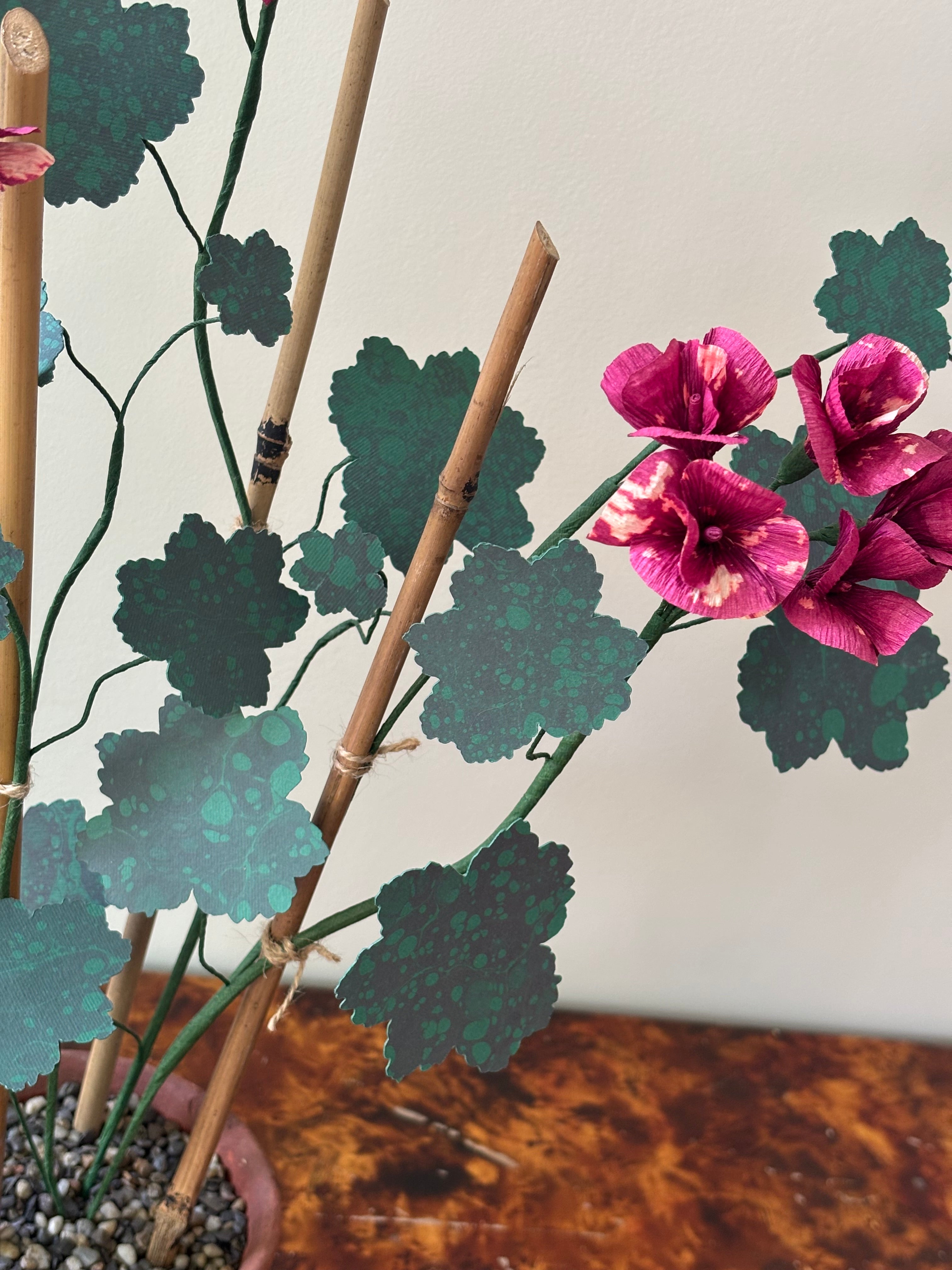 Paper Geranium