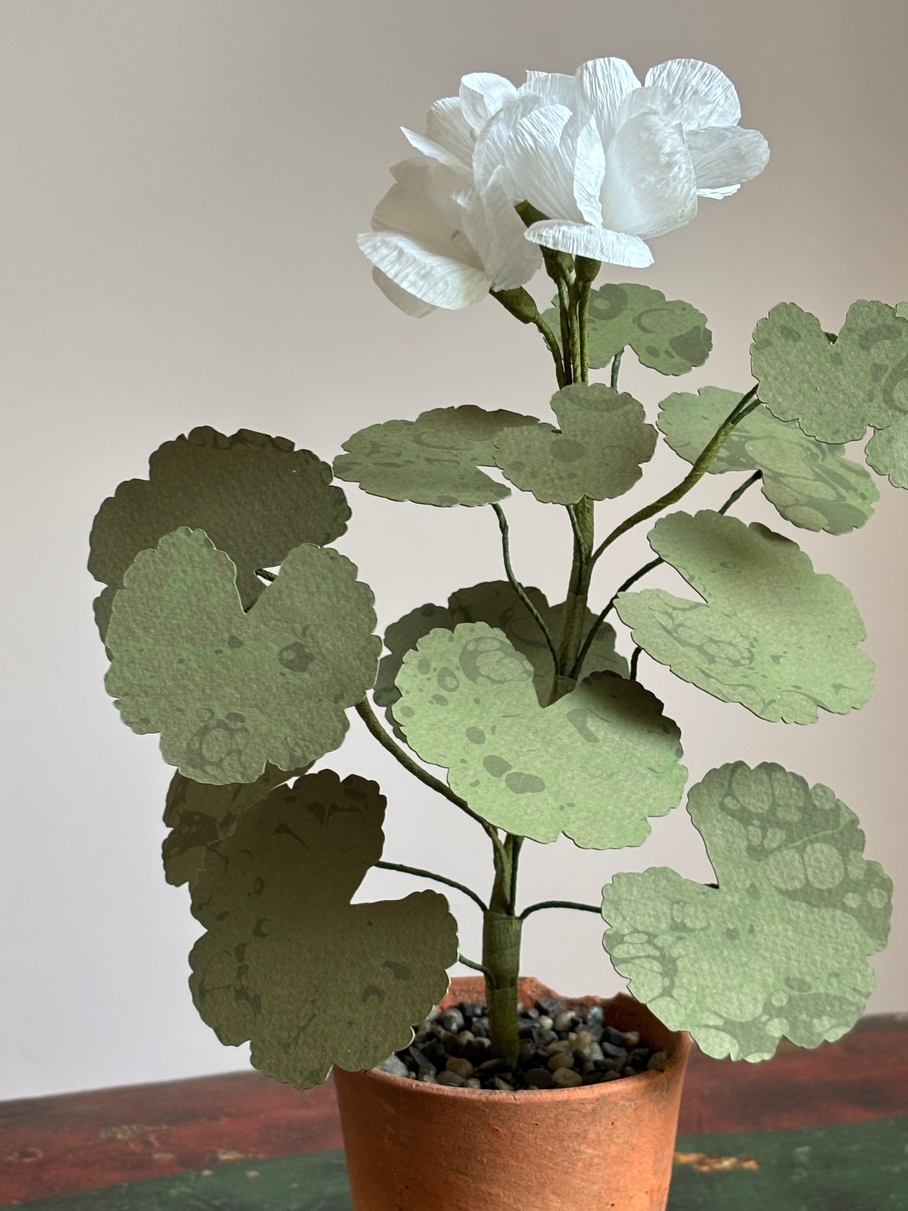 Paper Geraniums