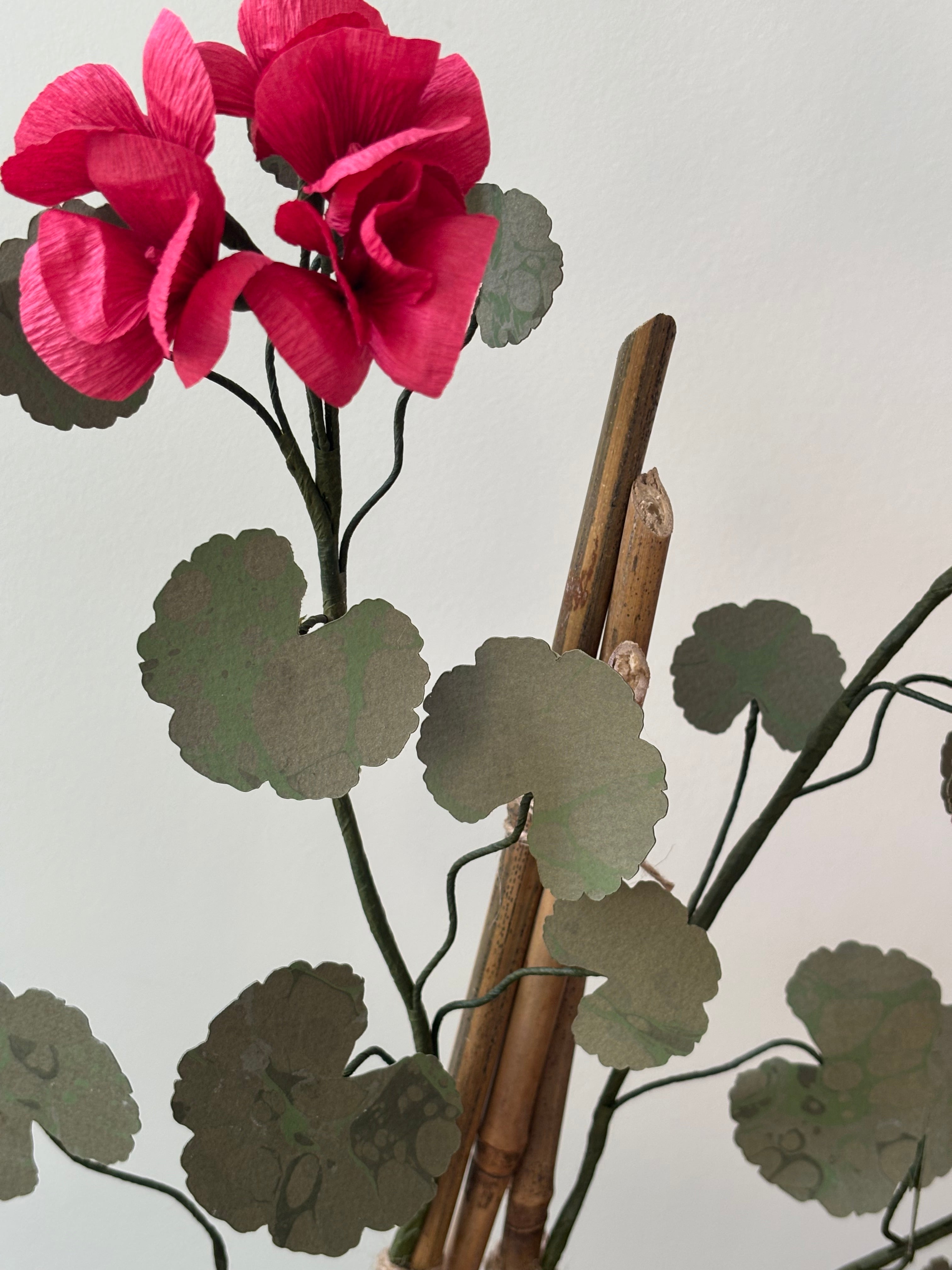 Paper Geranium