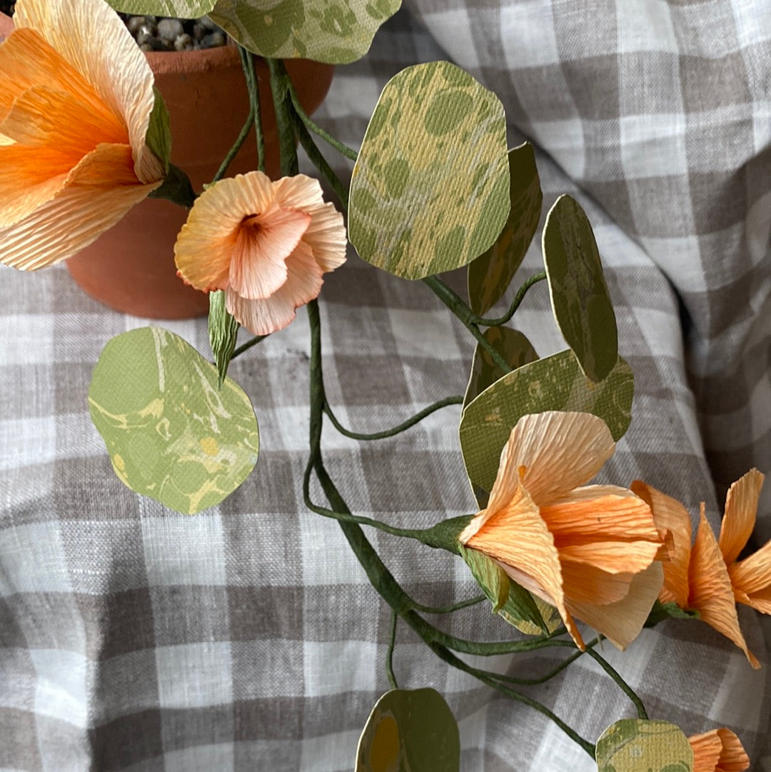 Paper Nasturtium