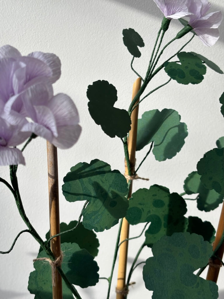 Paper Geranium