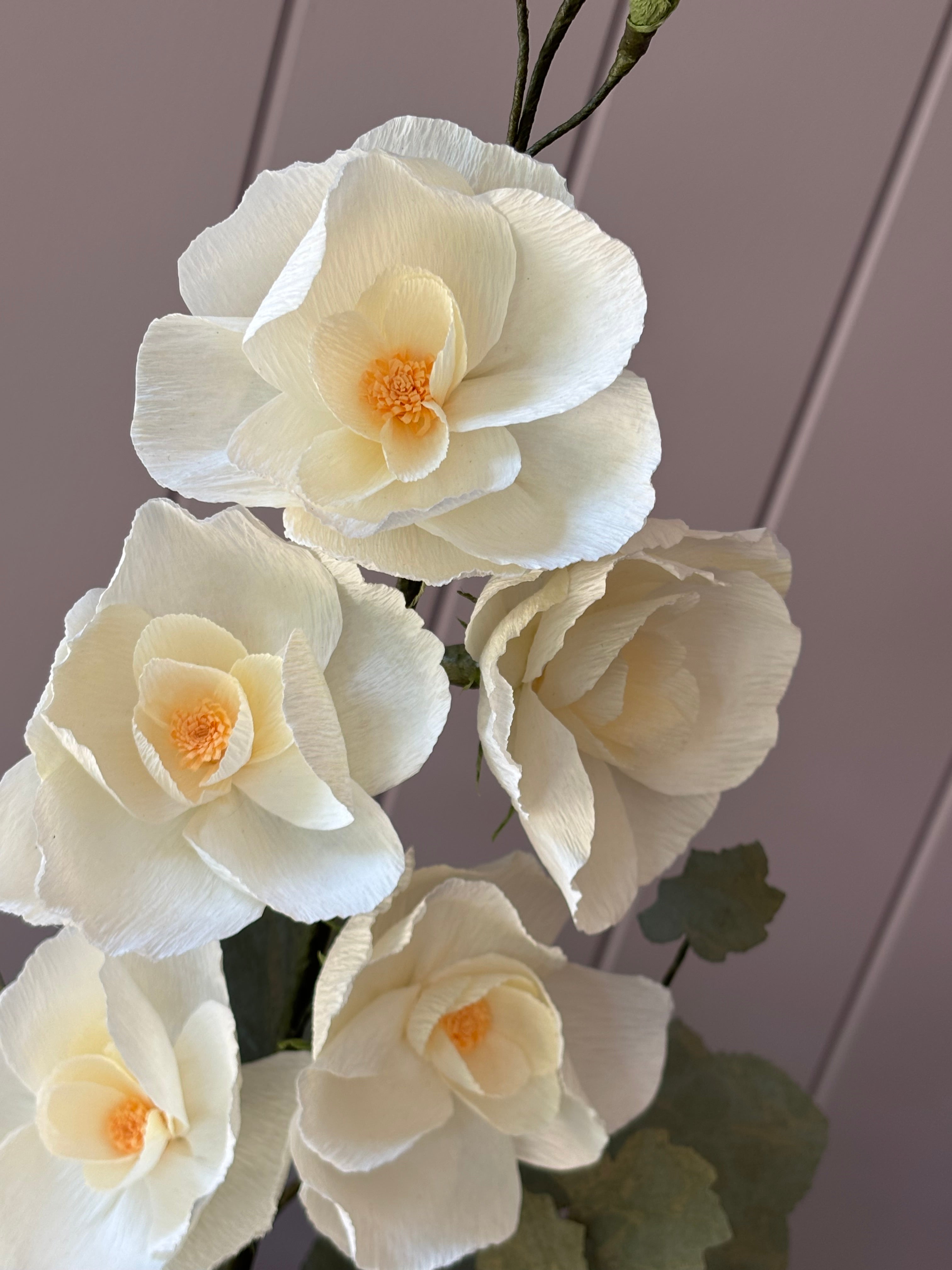 Paper Hollyhock