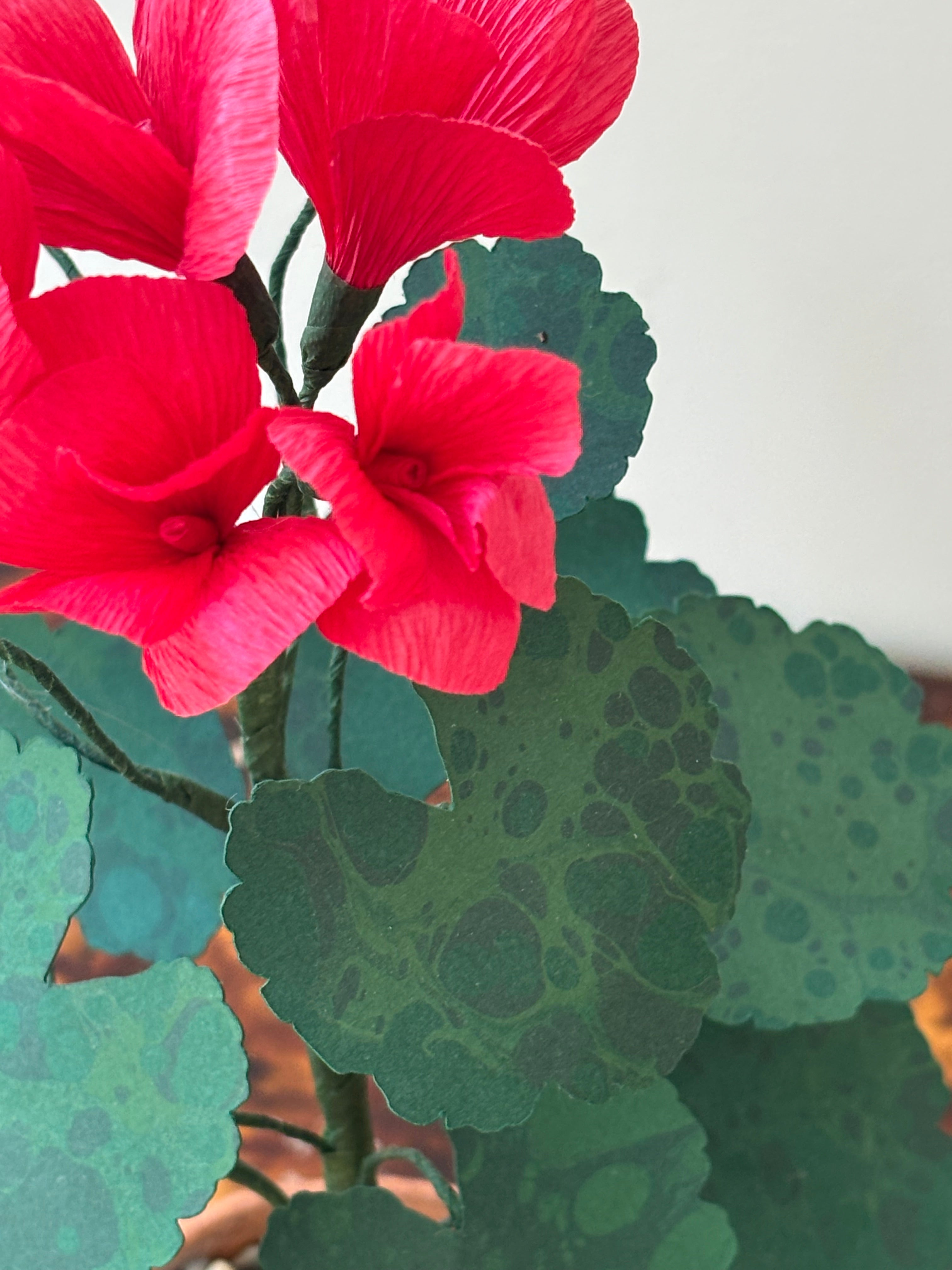 Paper Geranium