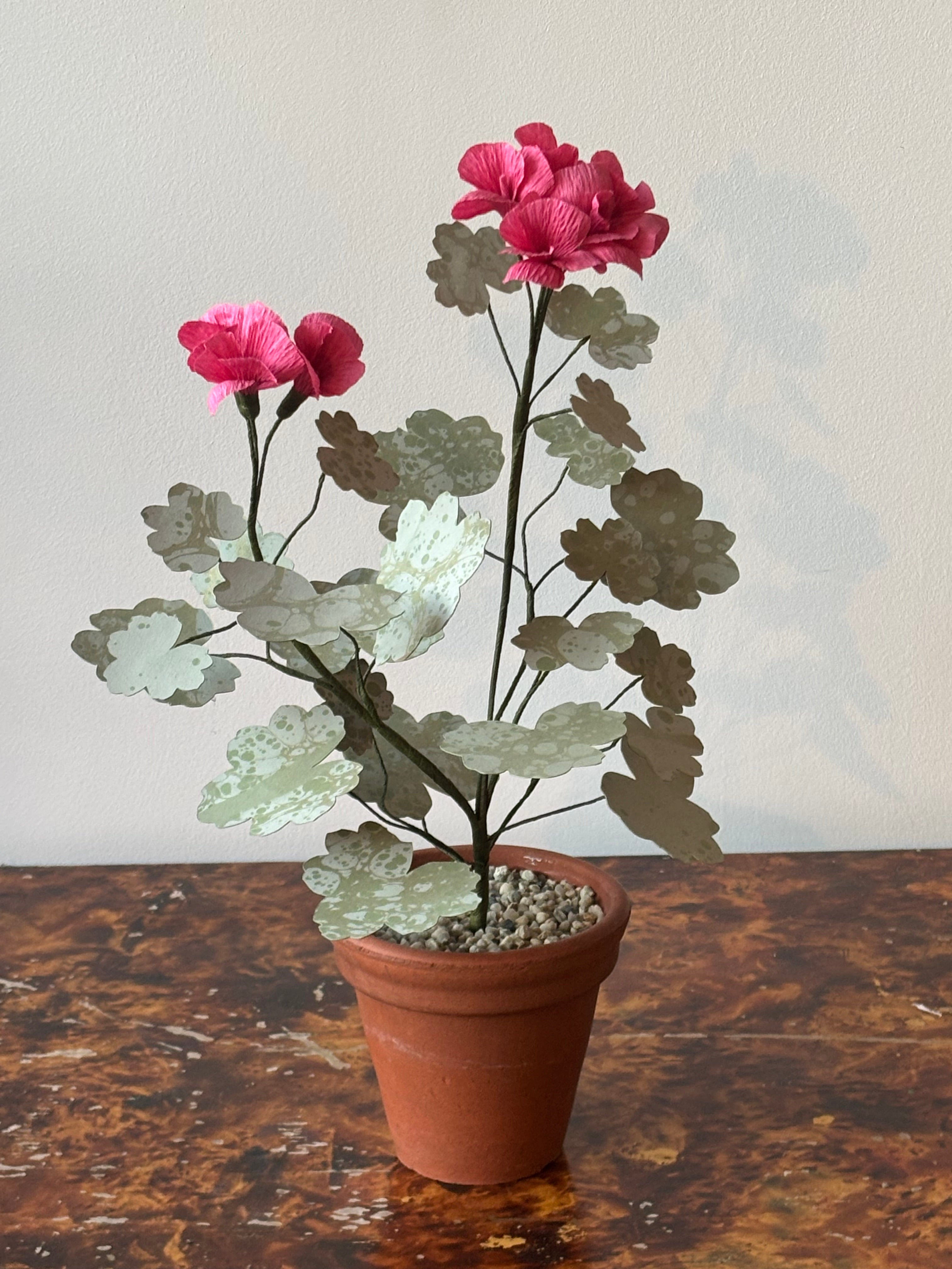 Paper Geranium