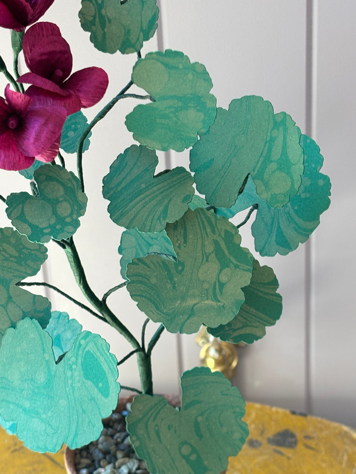 Paper geranium