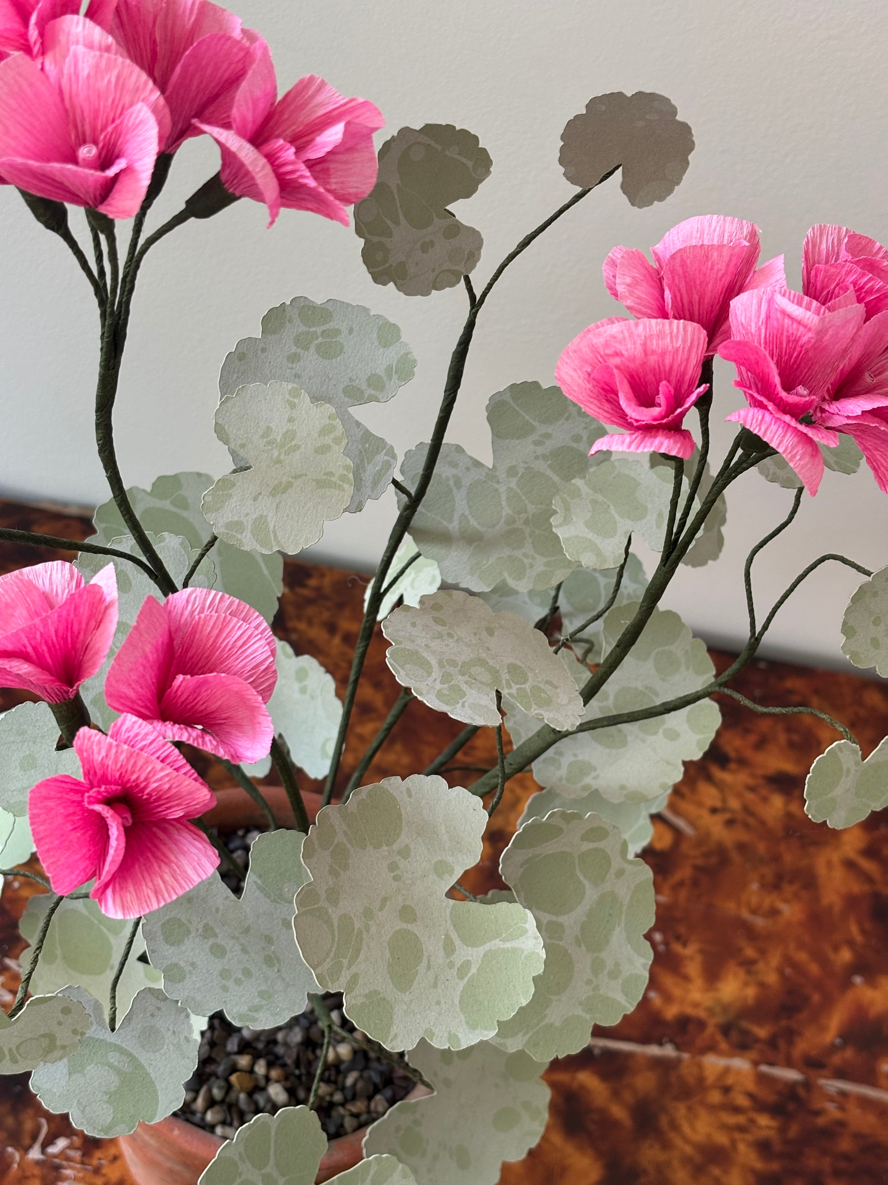 Paper Geranium