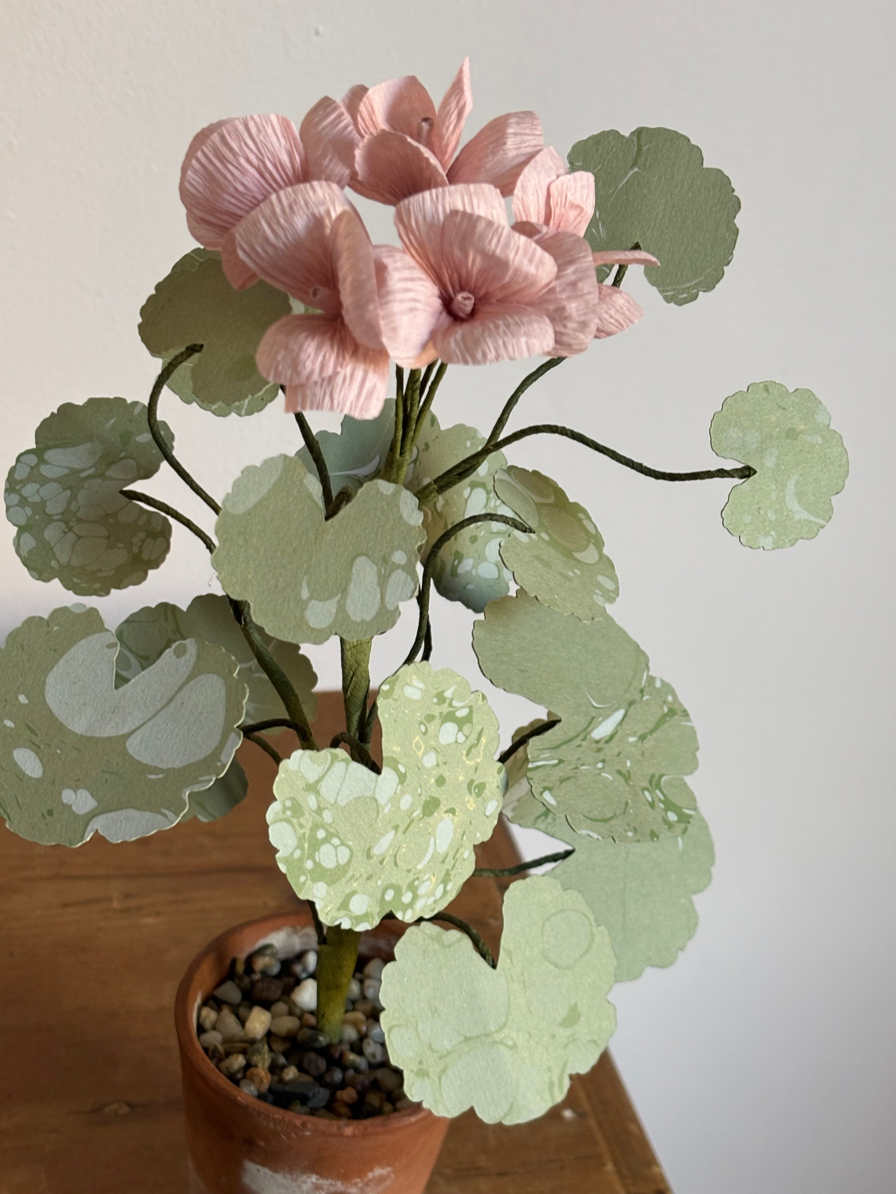 Paper Geranium