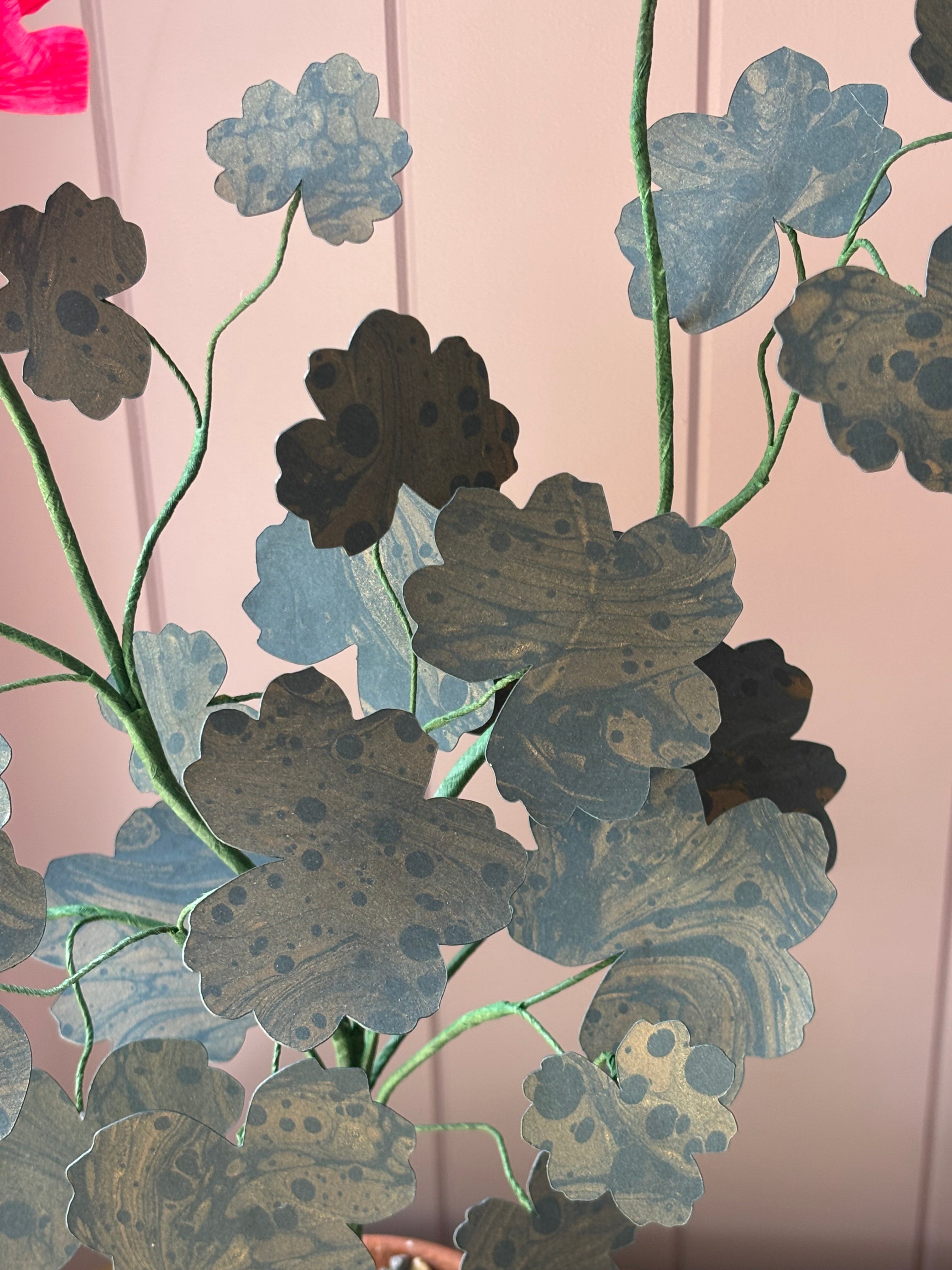 Paper geranium