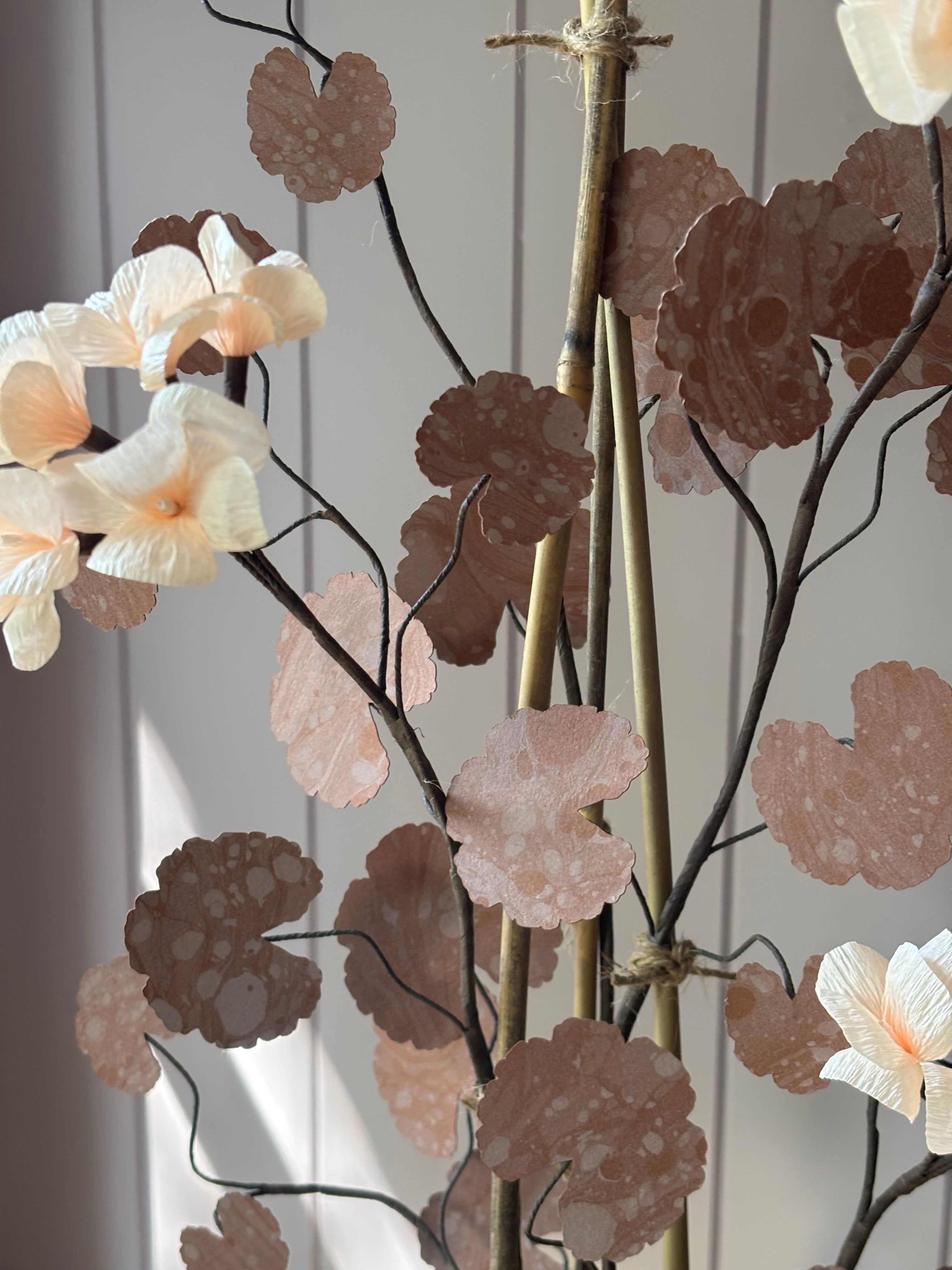 Paper geranium
