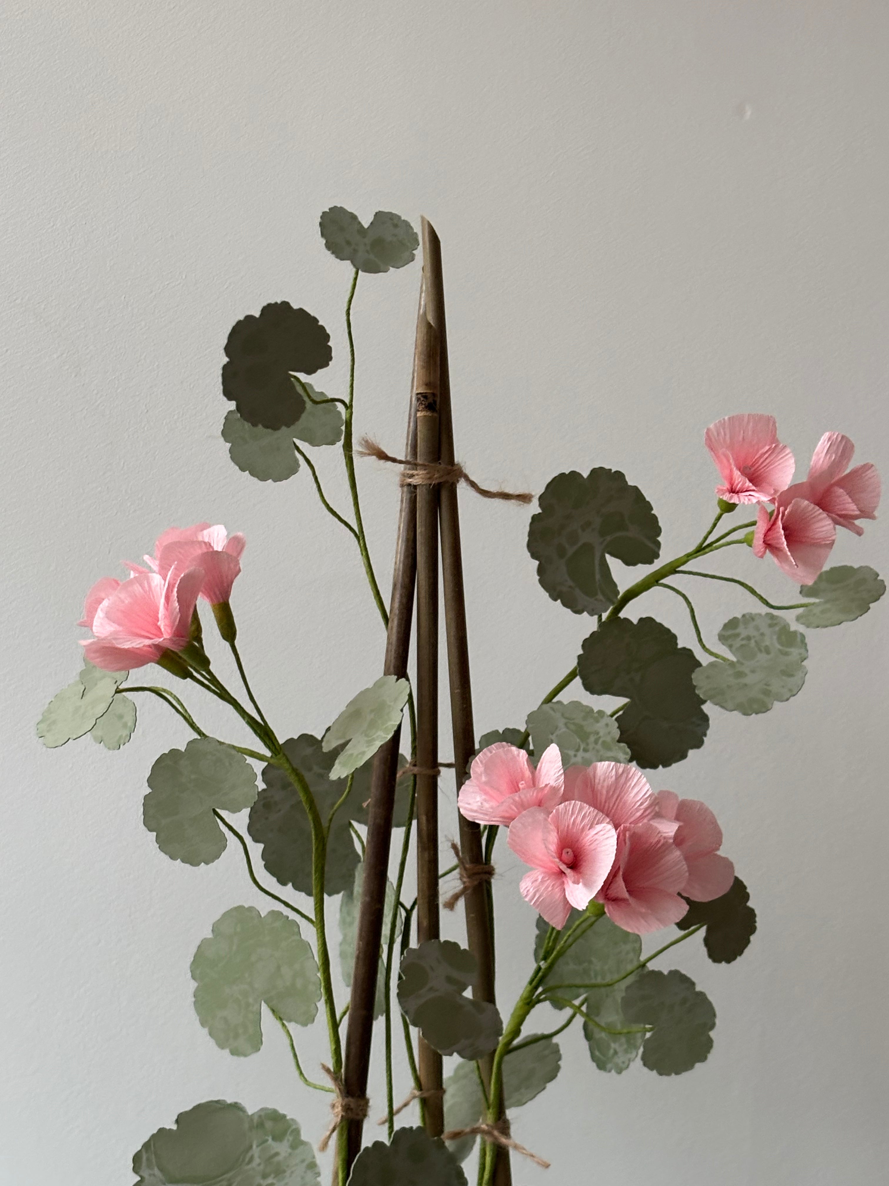 Paper Geranium