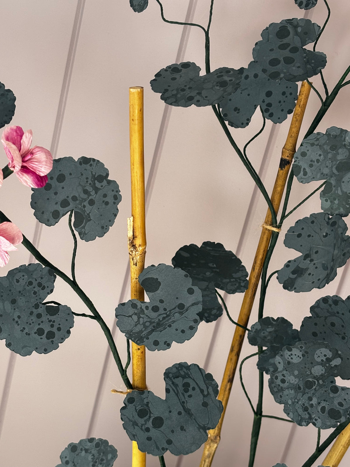 Paper geranium