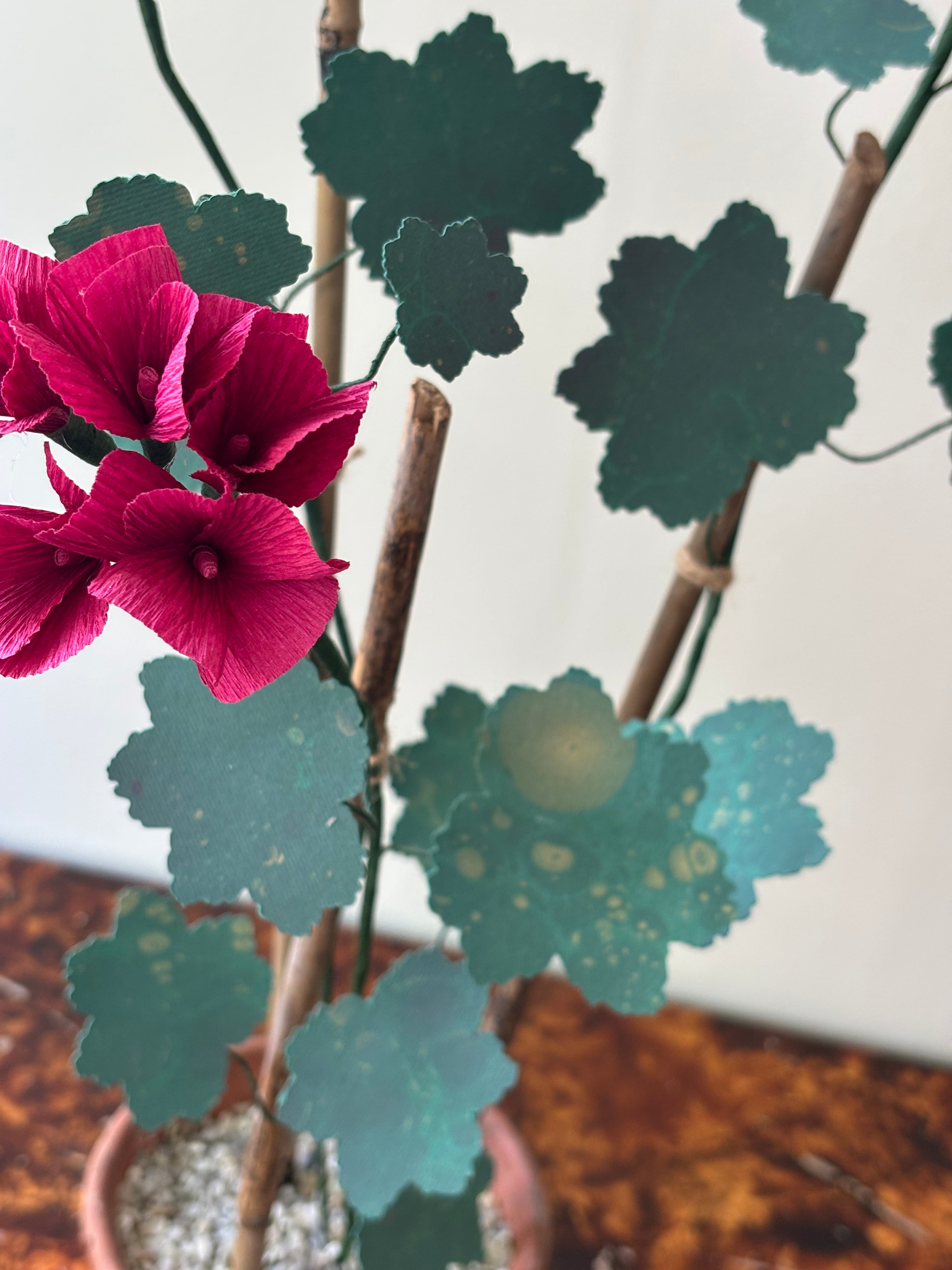 Paper Geranium