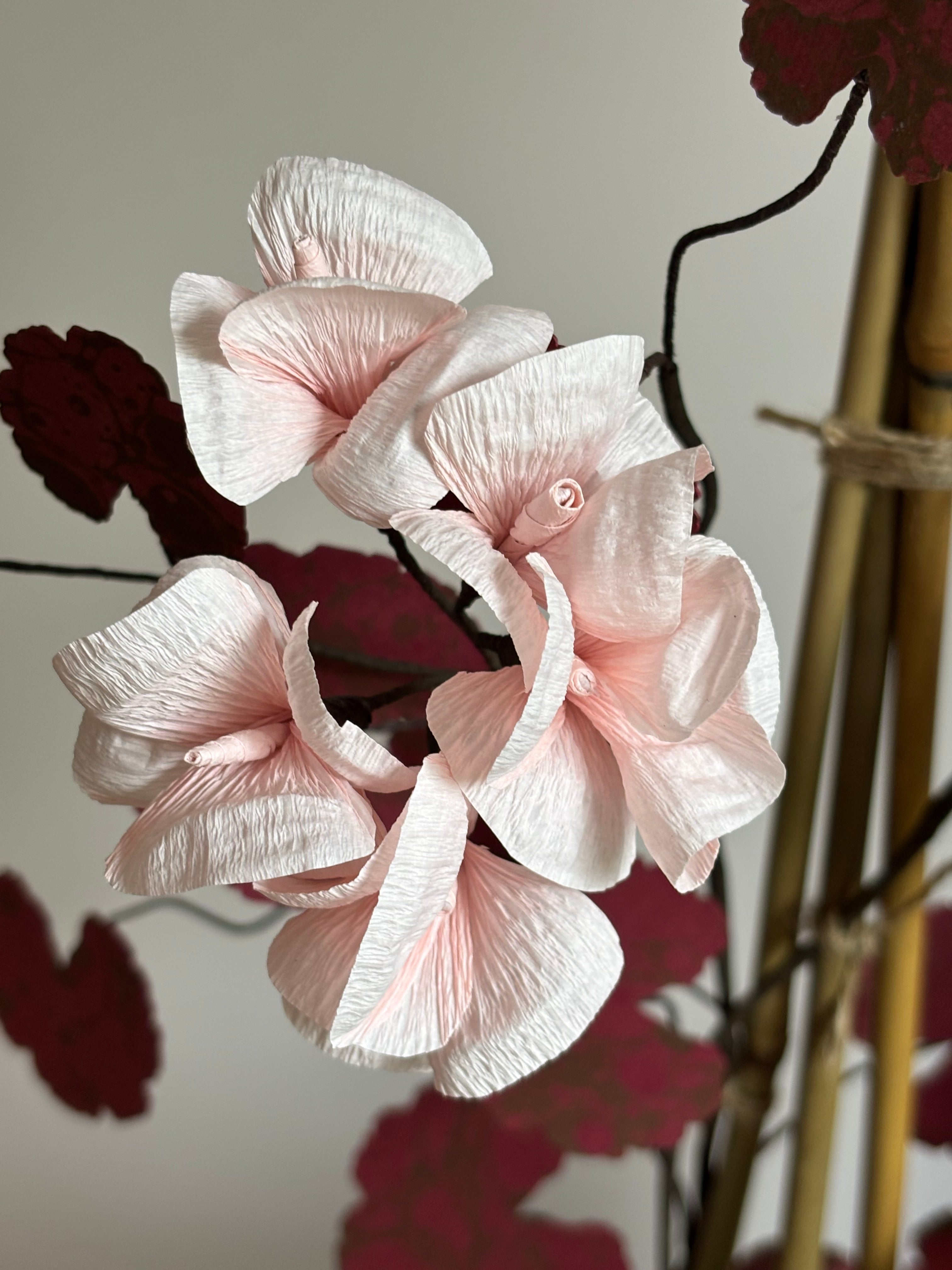 Paper Geranium