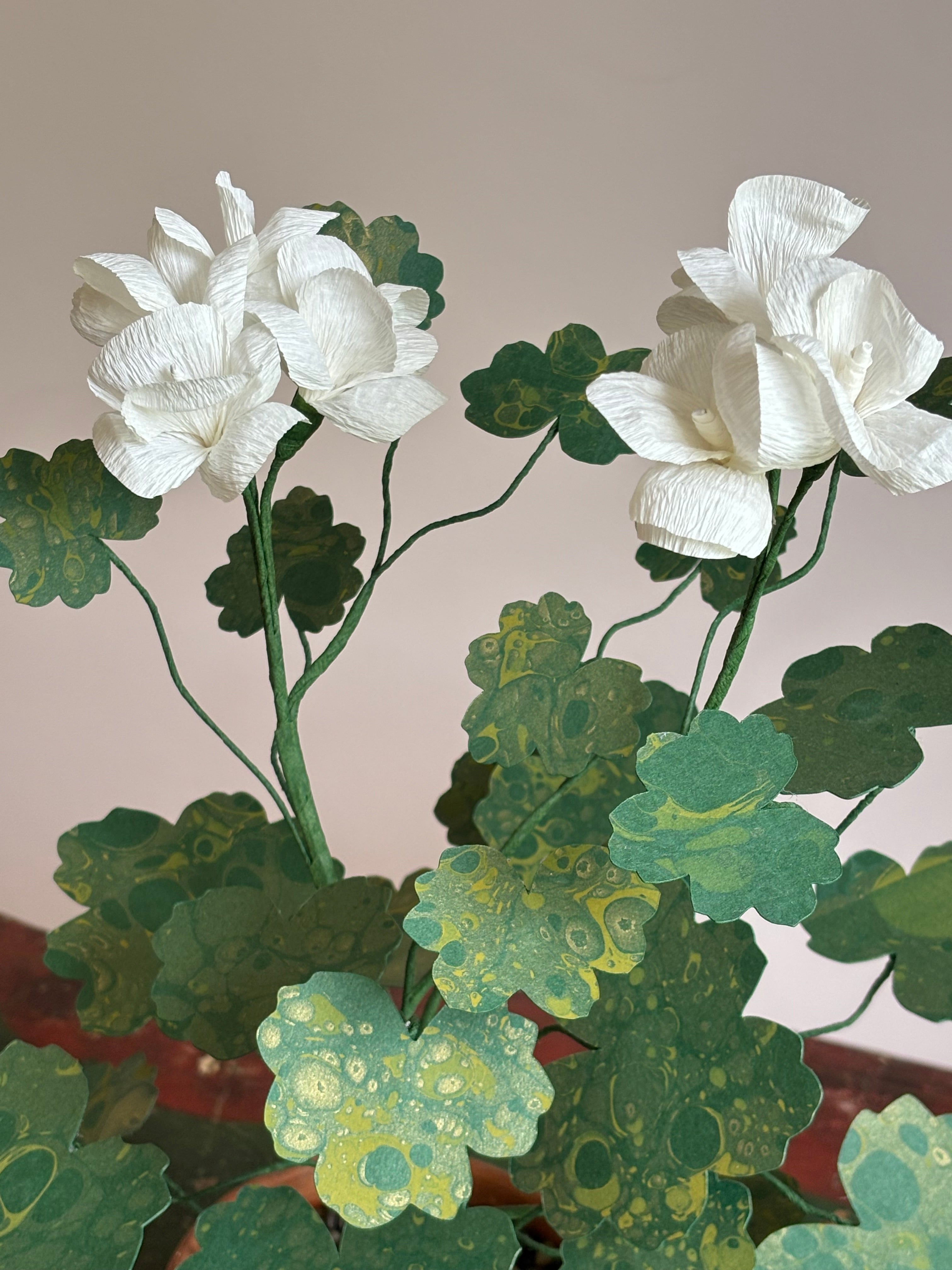 Paper Geranium