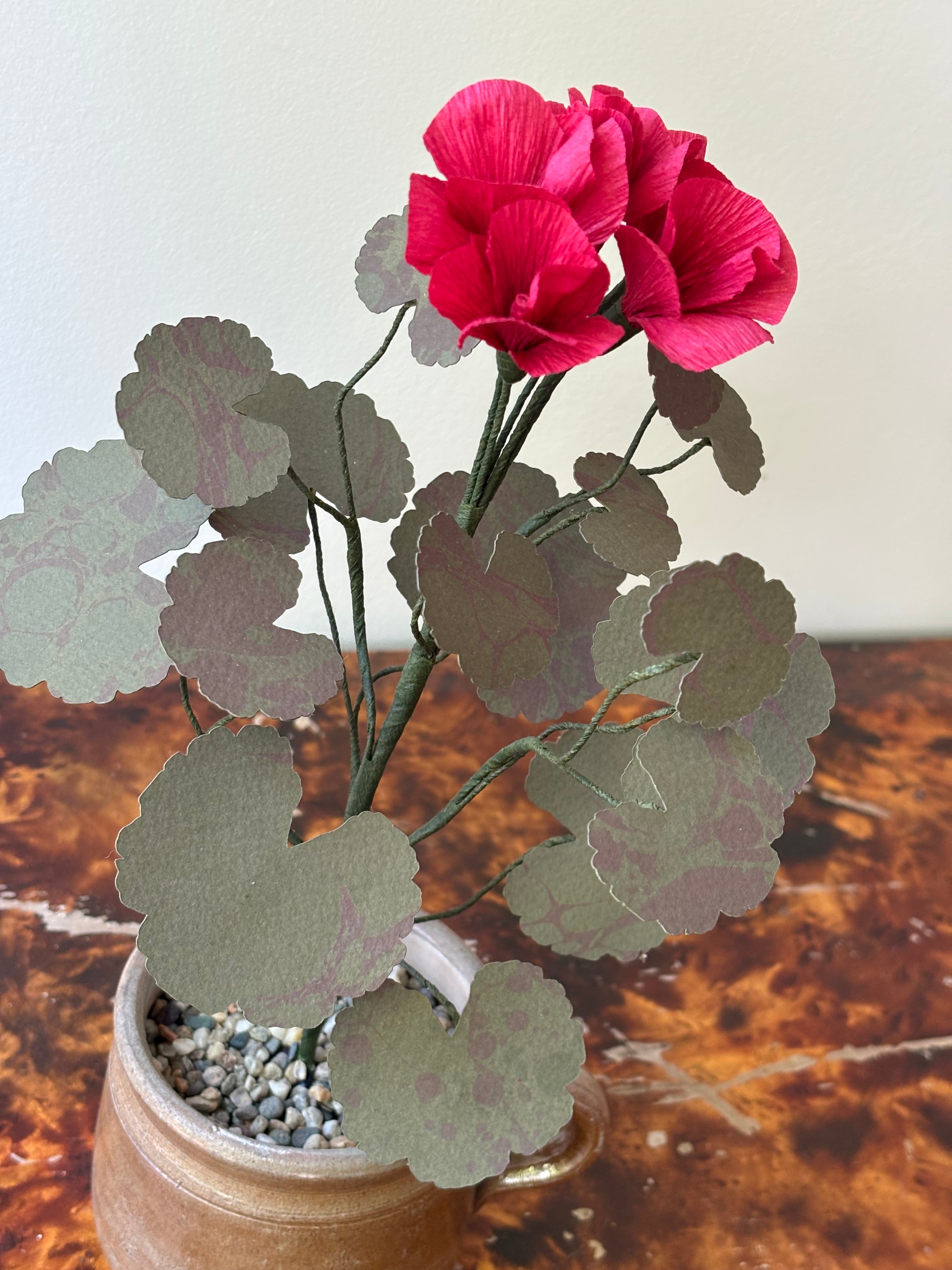Paper Geranium