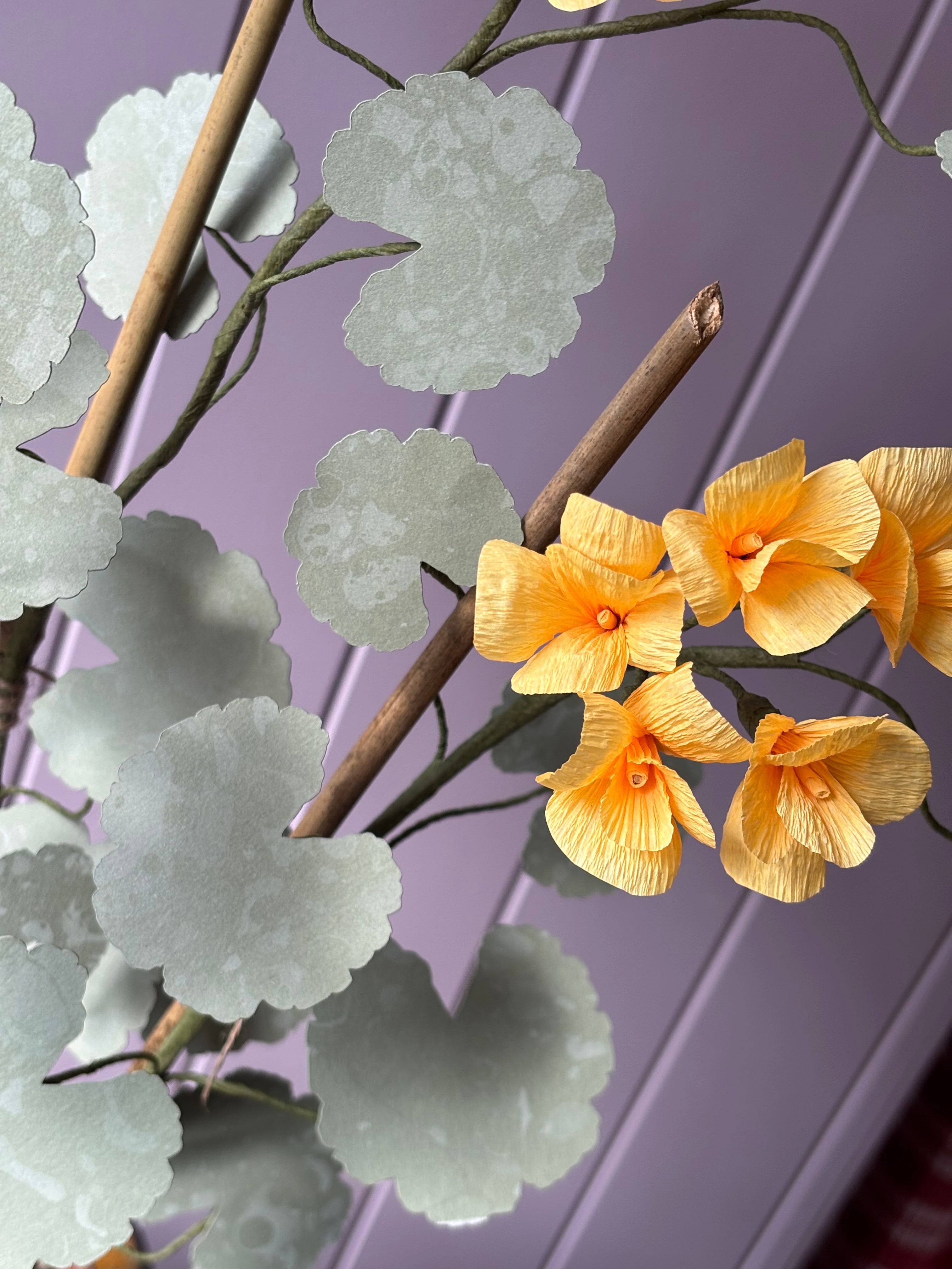 Paper geranium