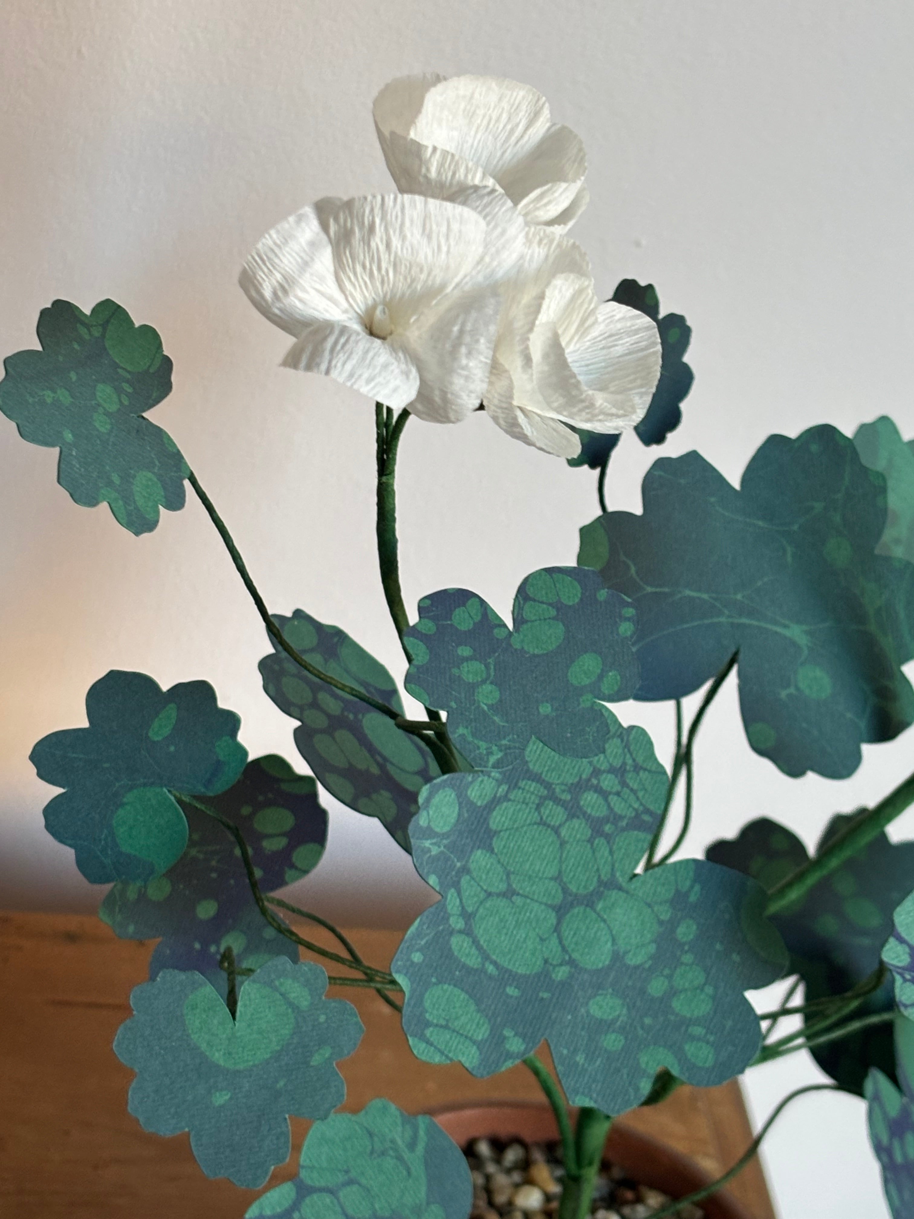 Paper Geranium