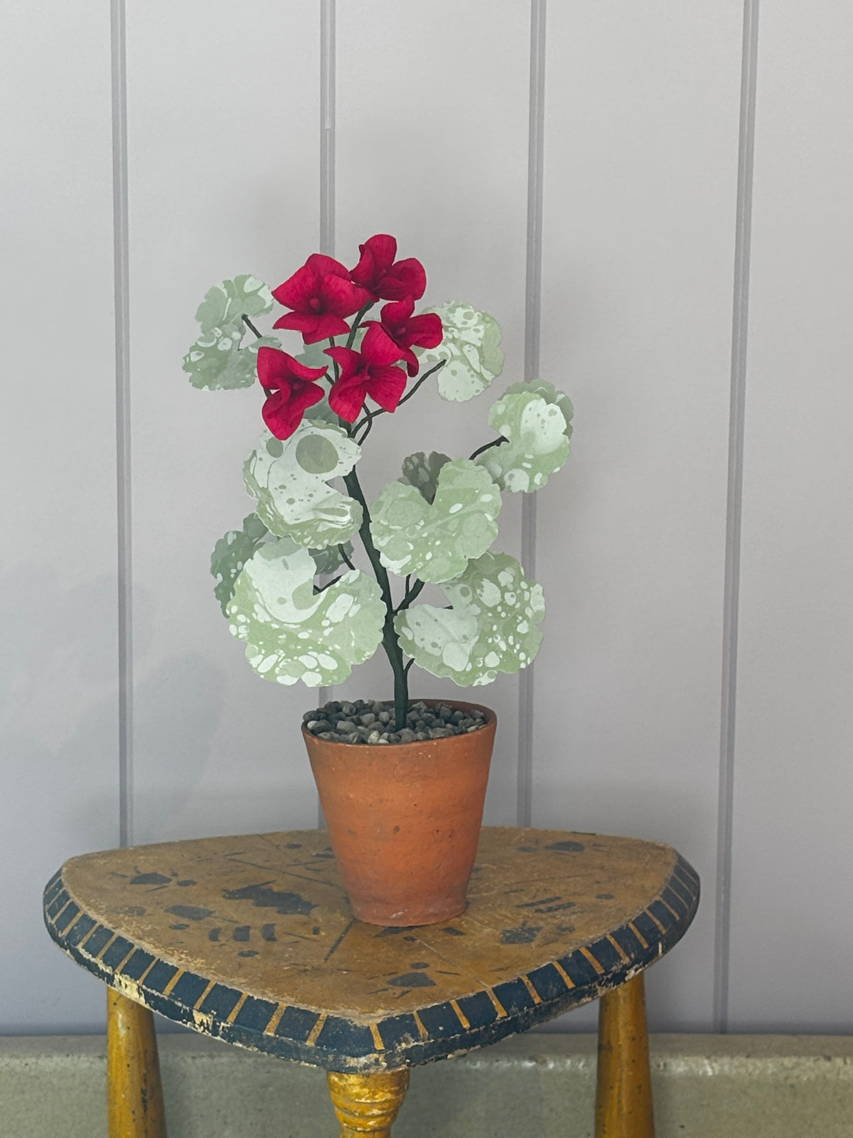 Paper geranium