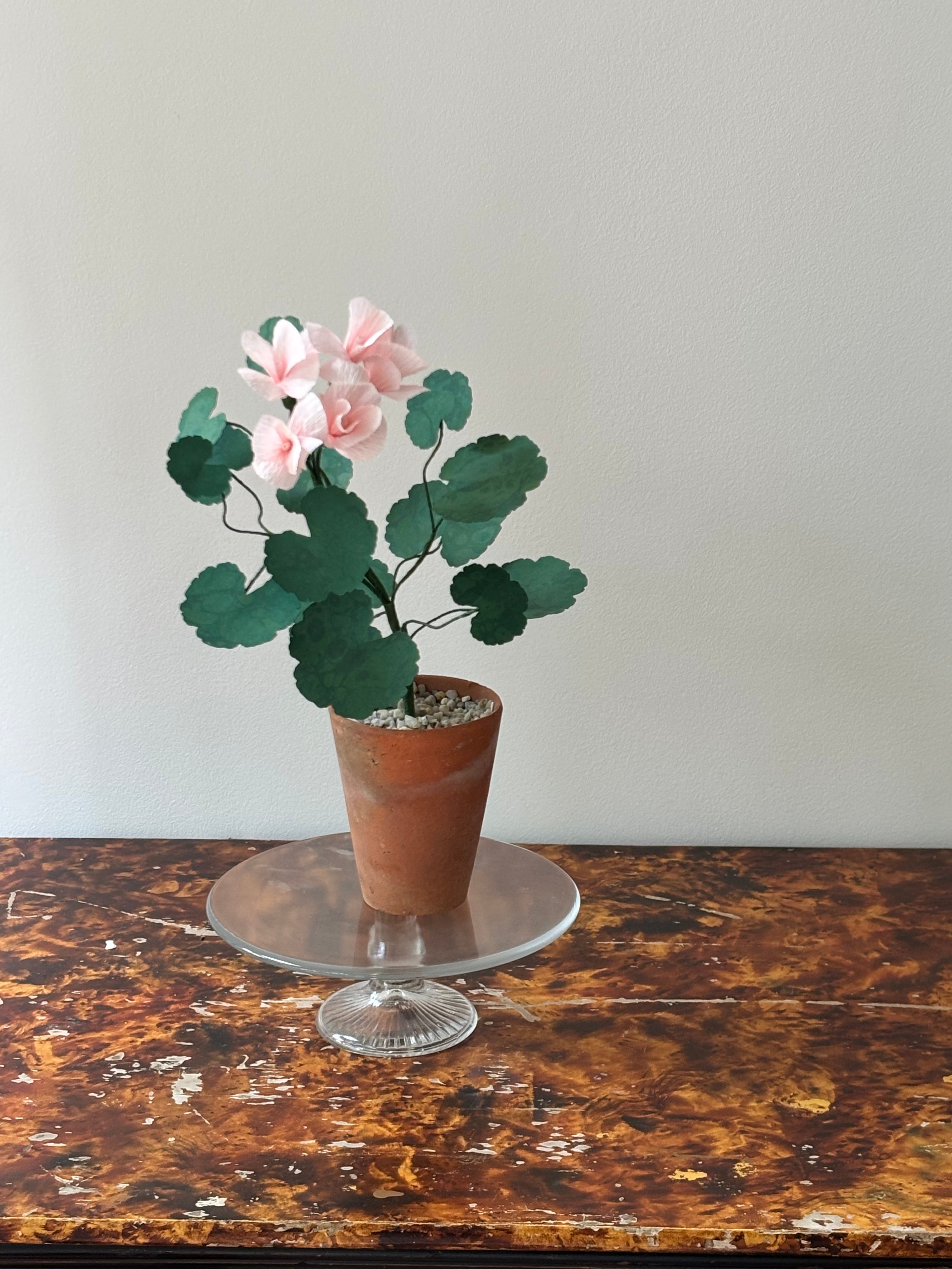 Paper Geranium