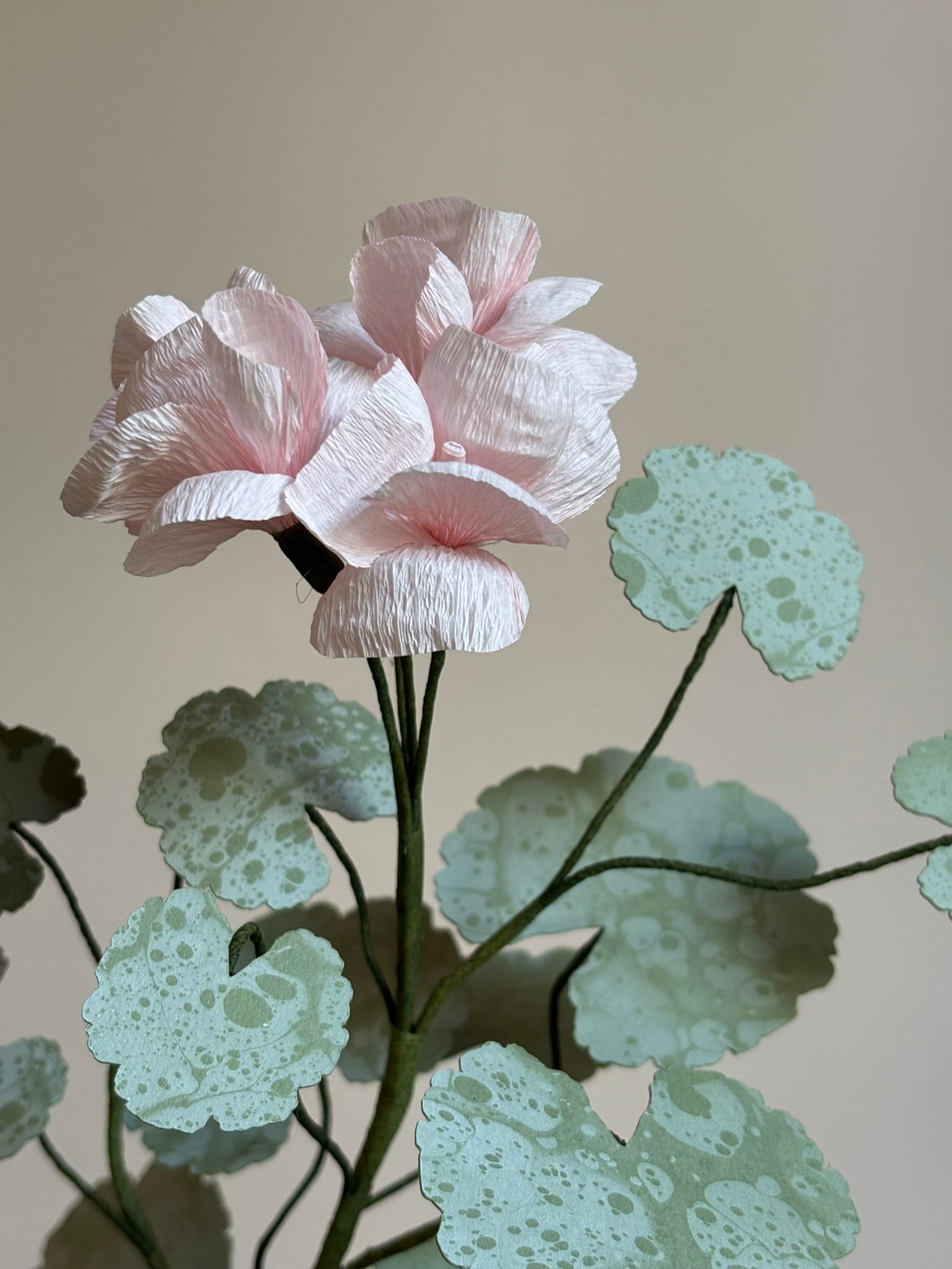 Paper Geranium