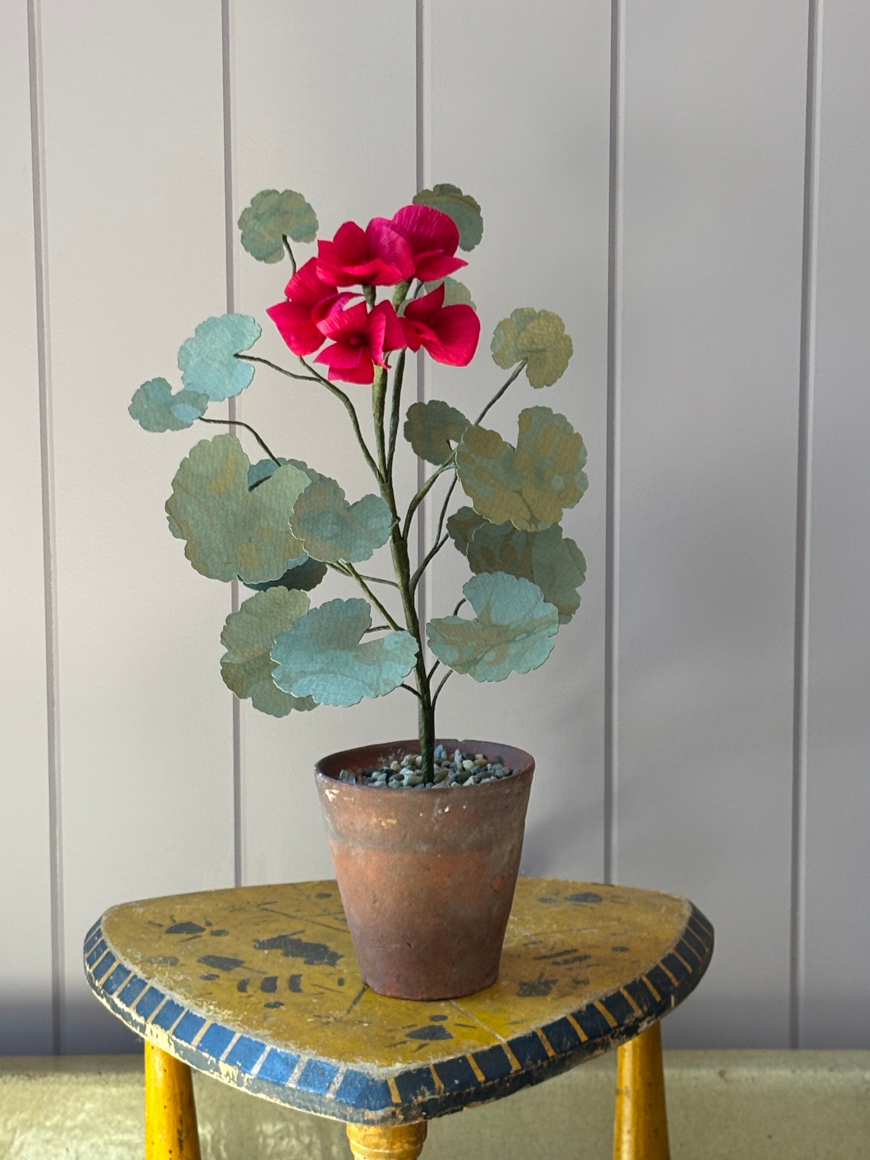 Paper geranium