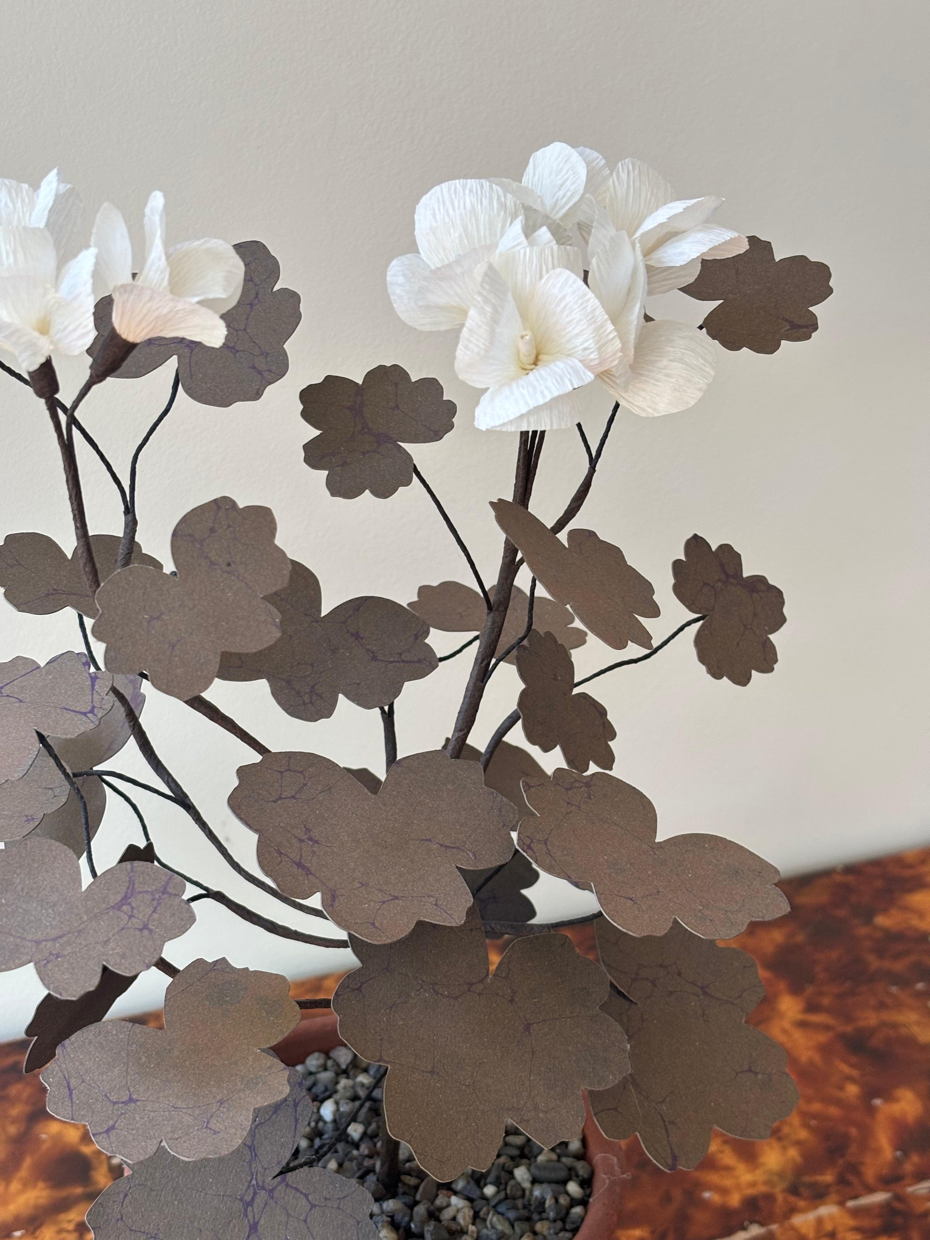 Paper Geranium