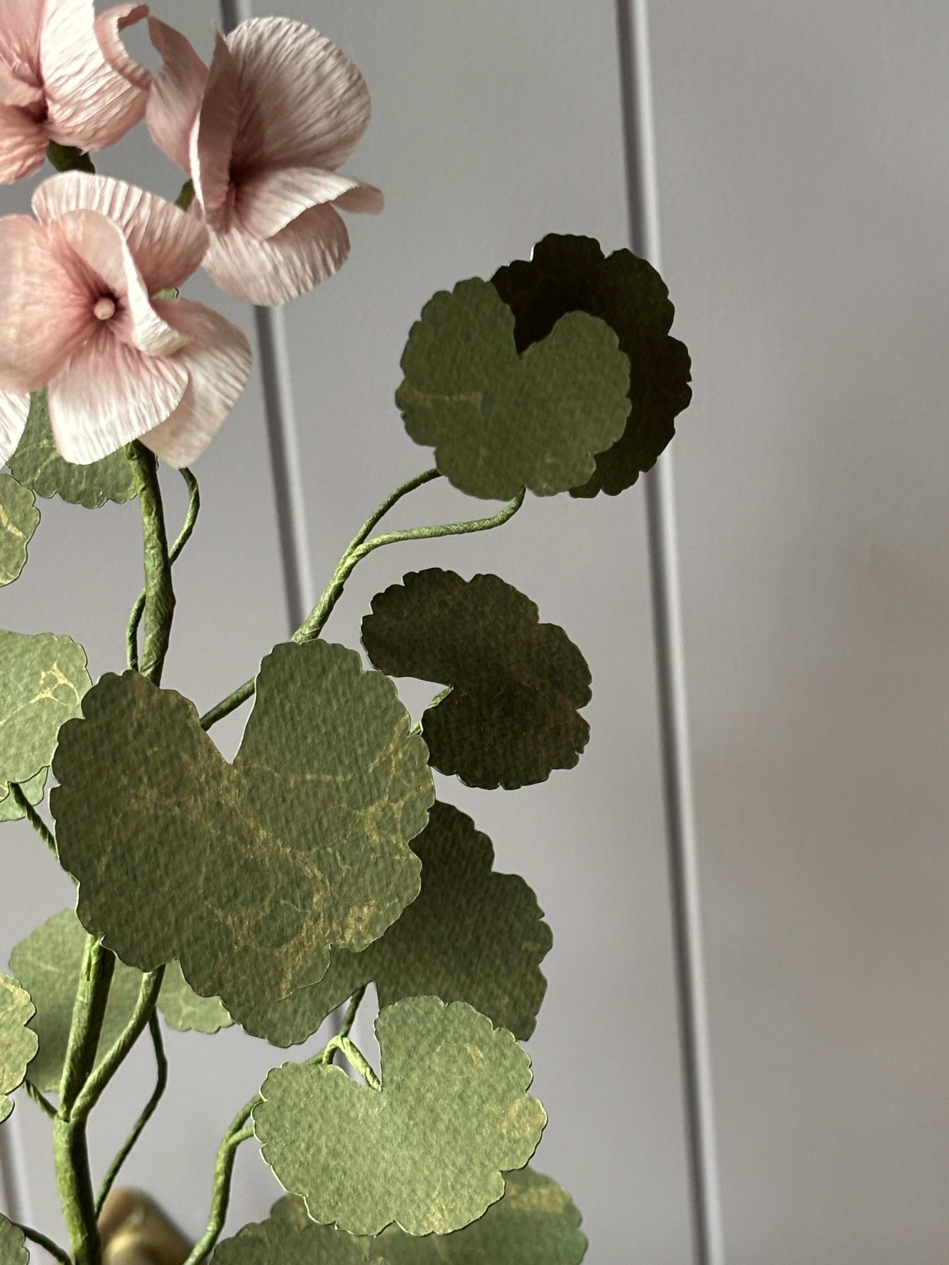 Paper Geranium