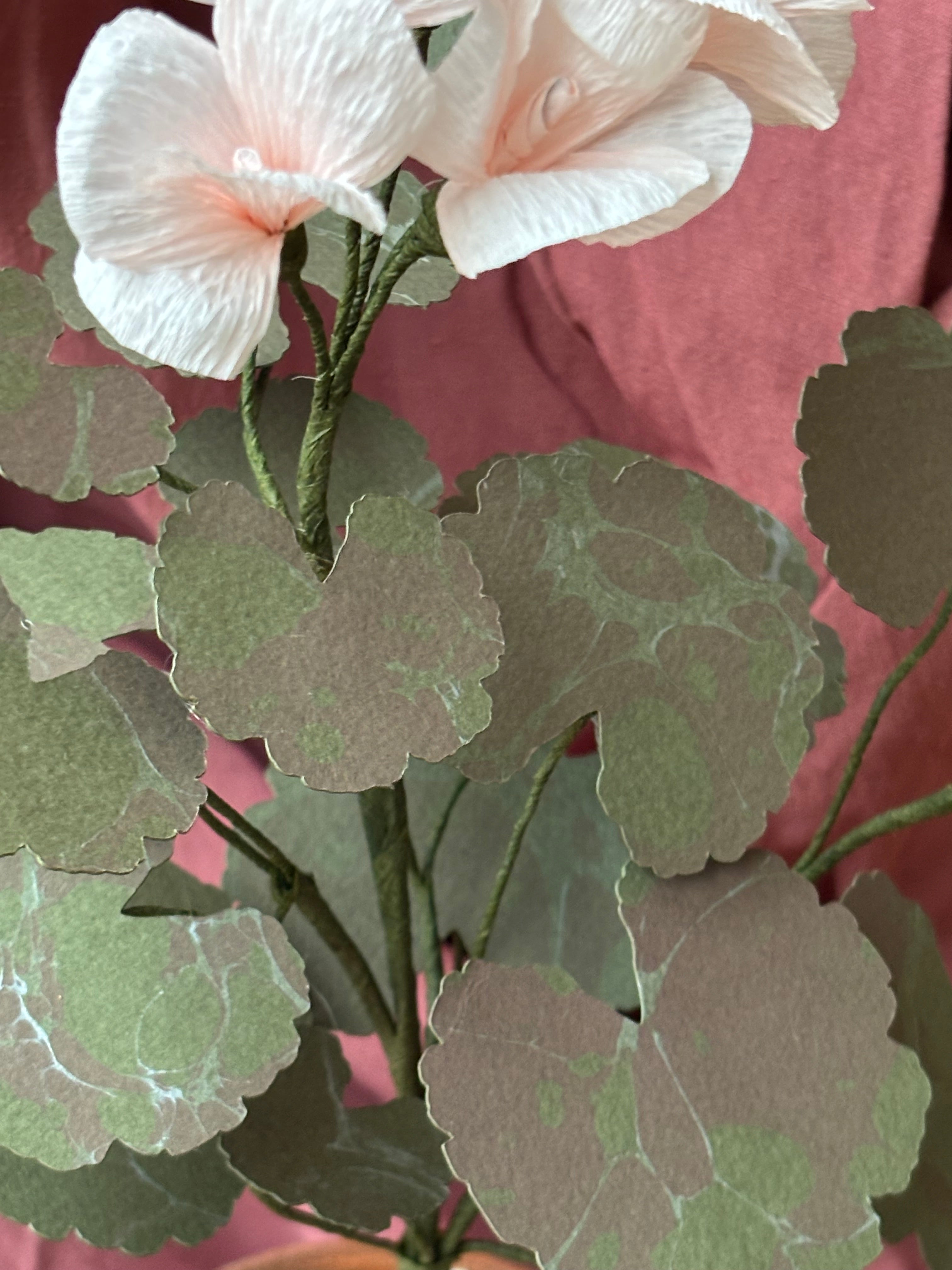 Paper Geranium