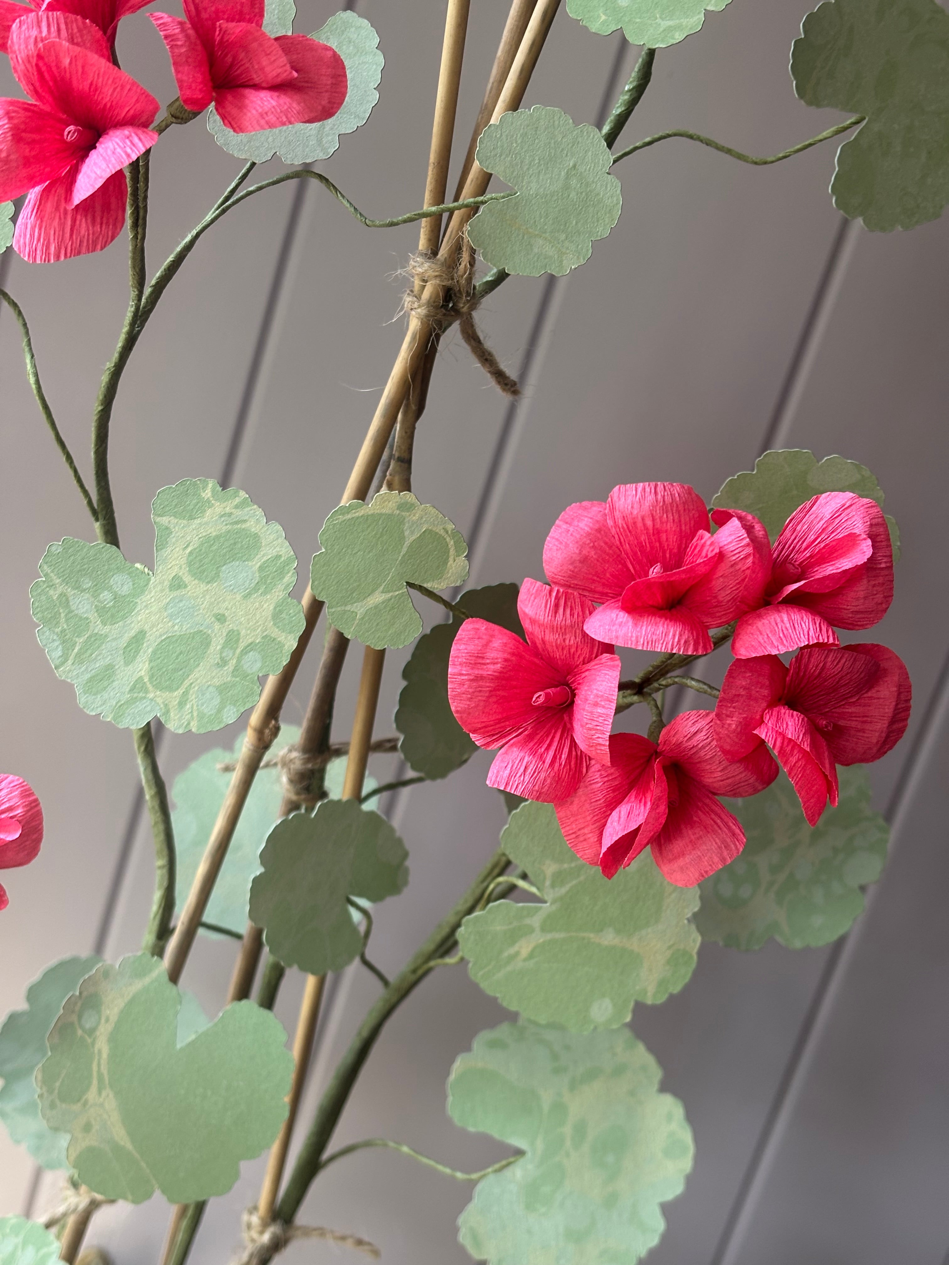 Paper geranium