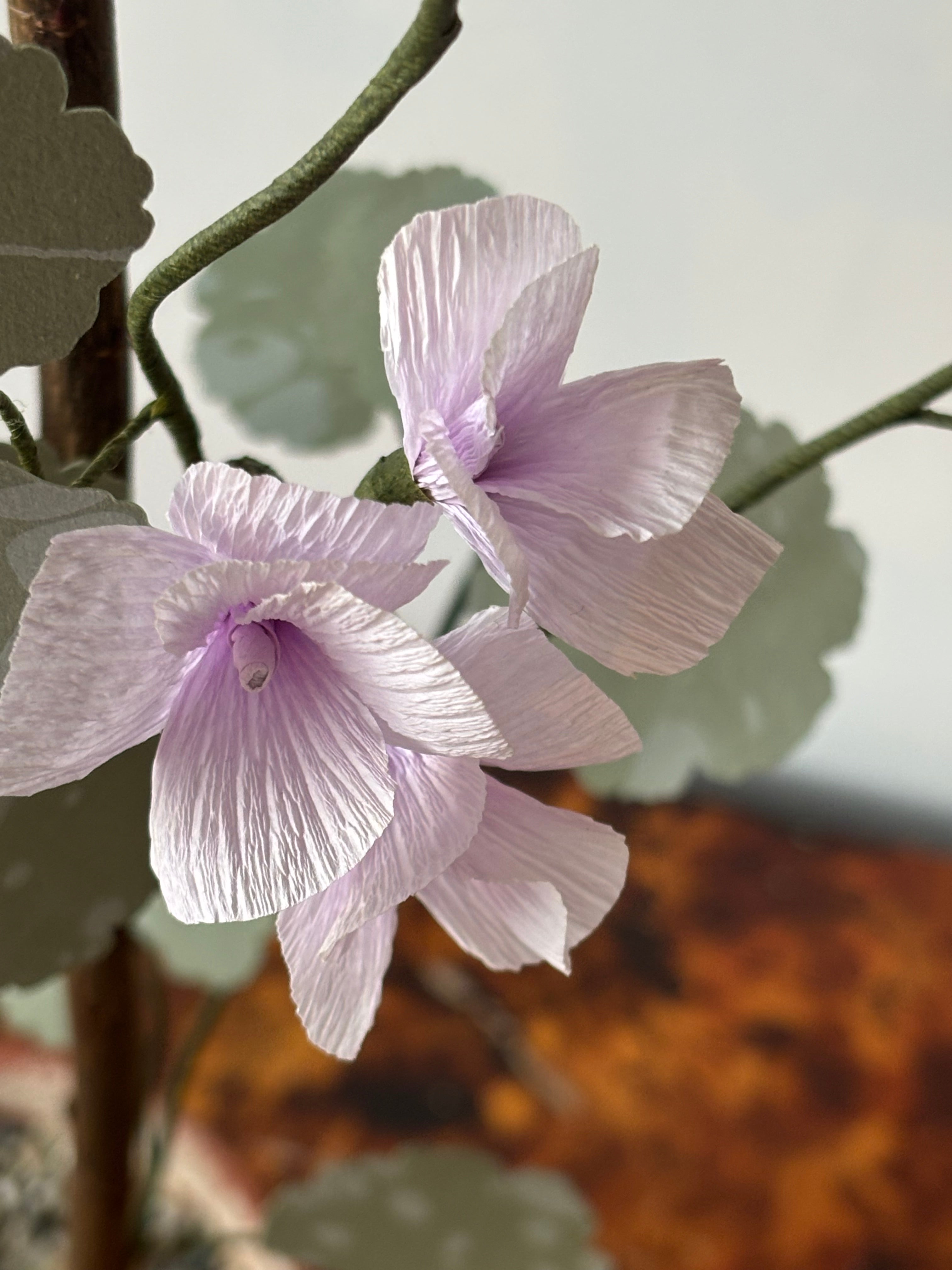 Paper Geranium