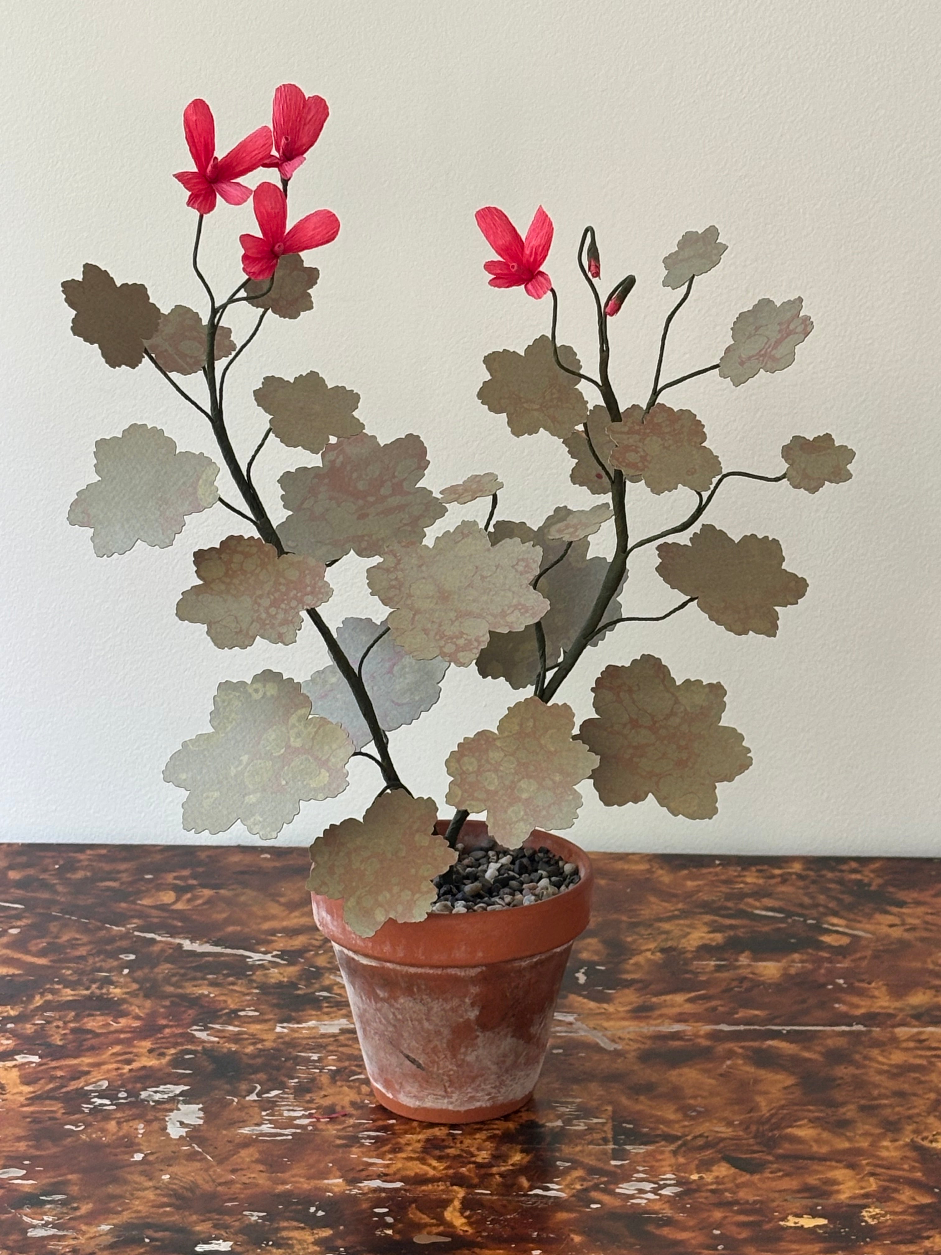 Paper Geranium