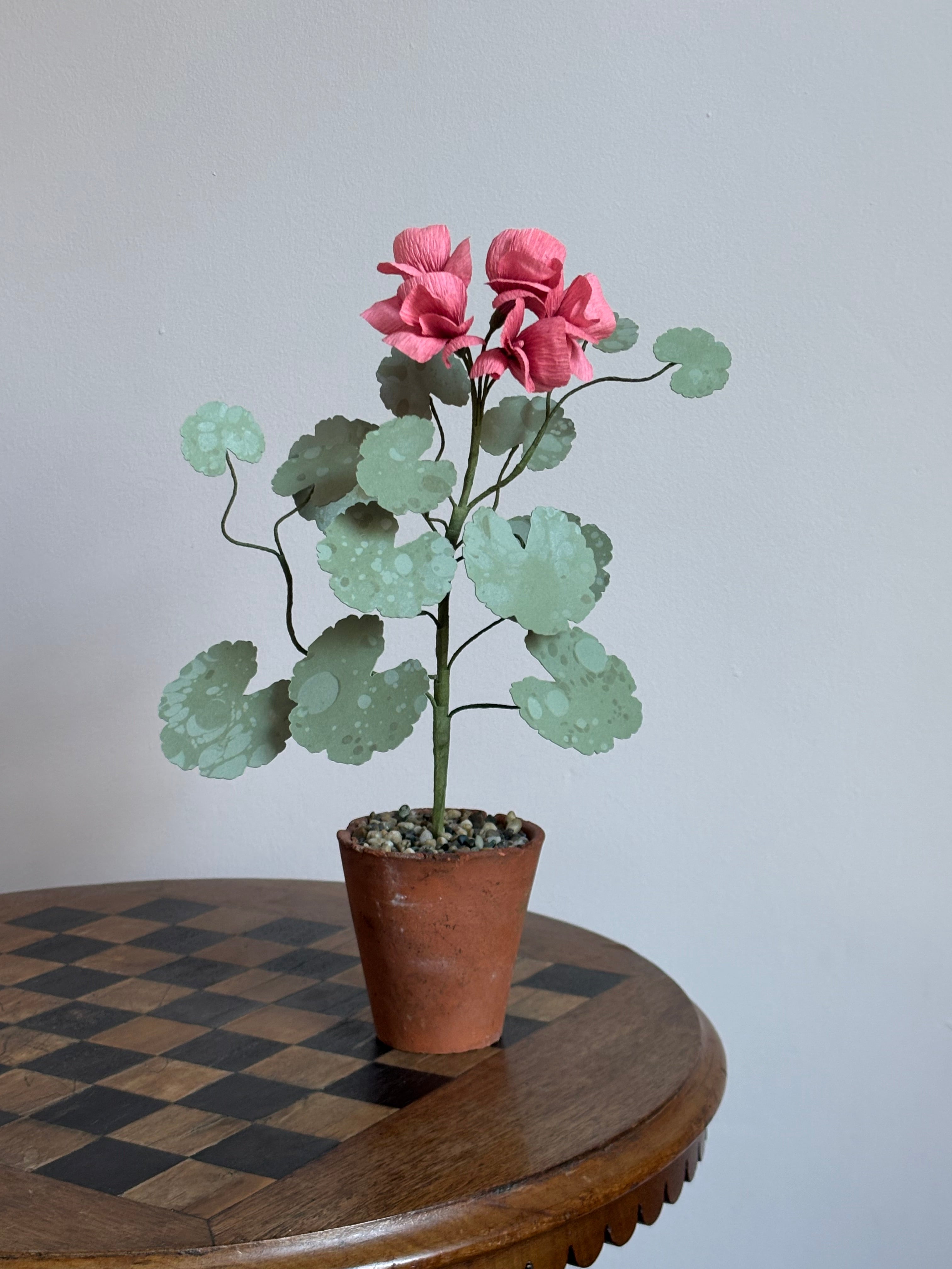 Paper Geranium hh