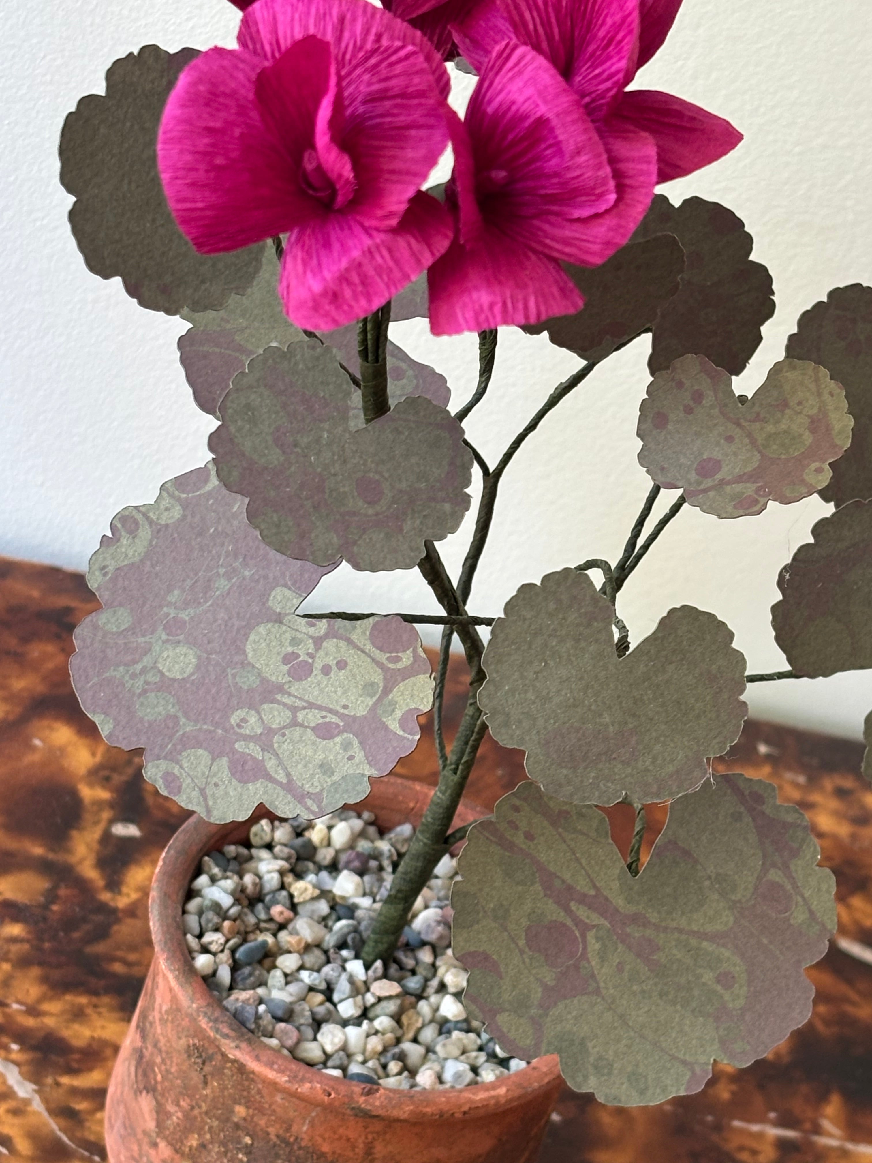Paper Geranium