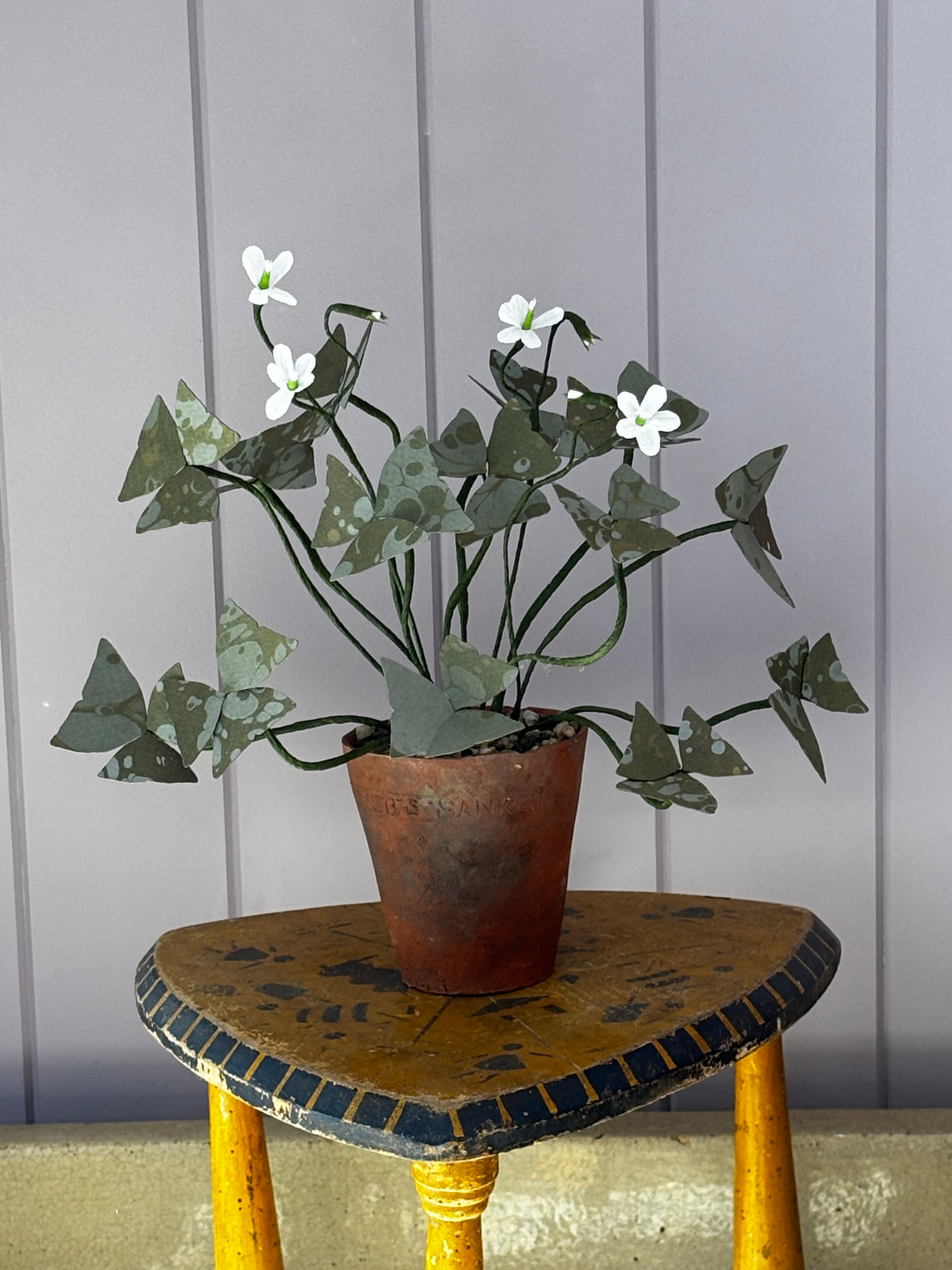 Paper Oxalis