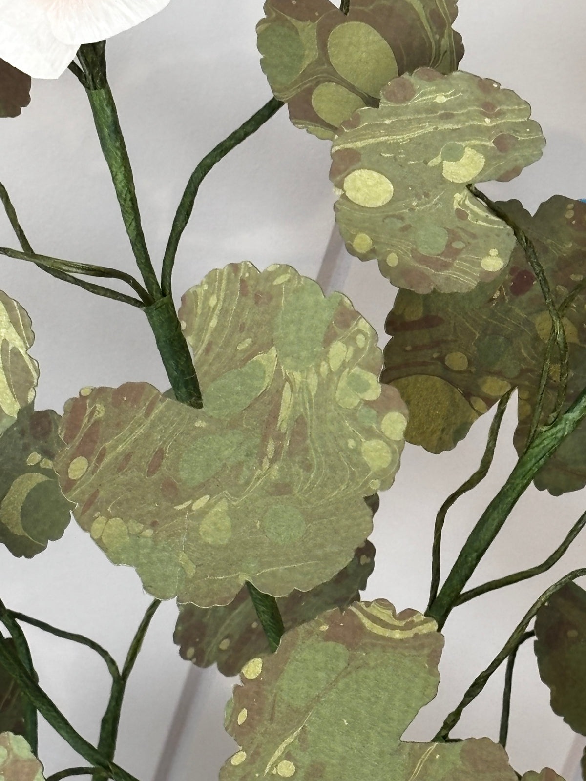 Paper geranium, scallop pot