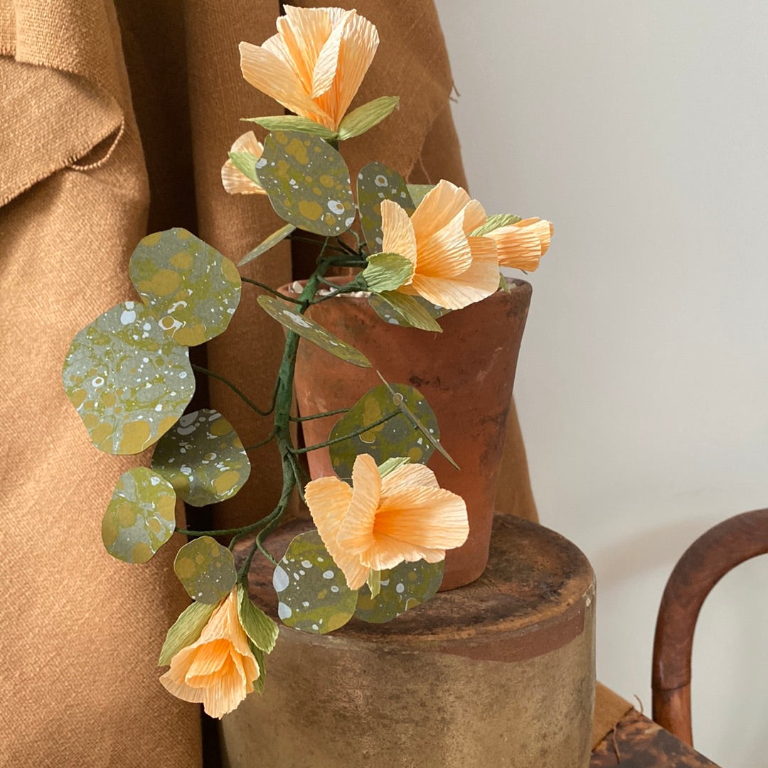 Paper Nasturtium