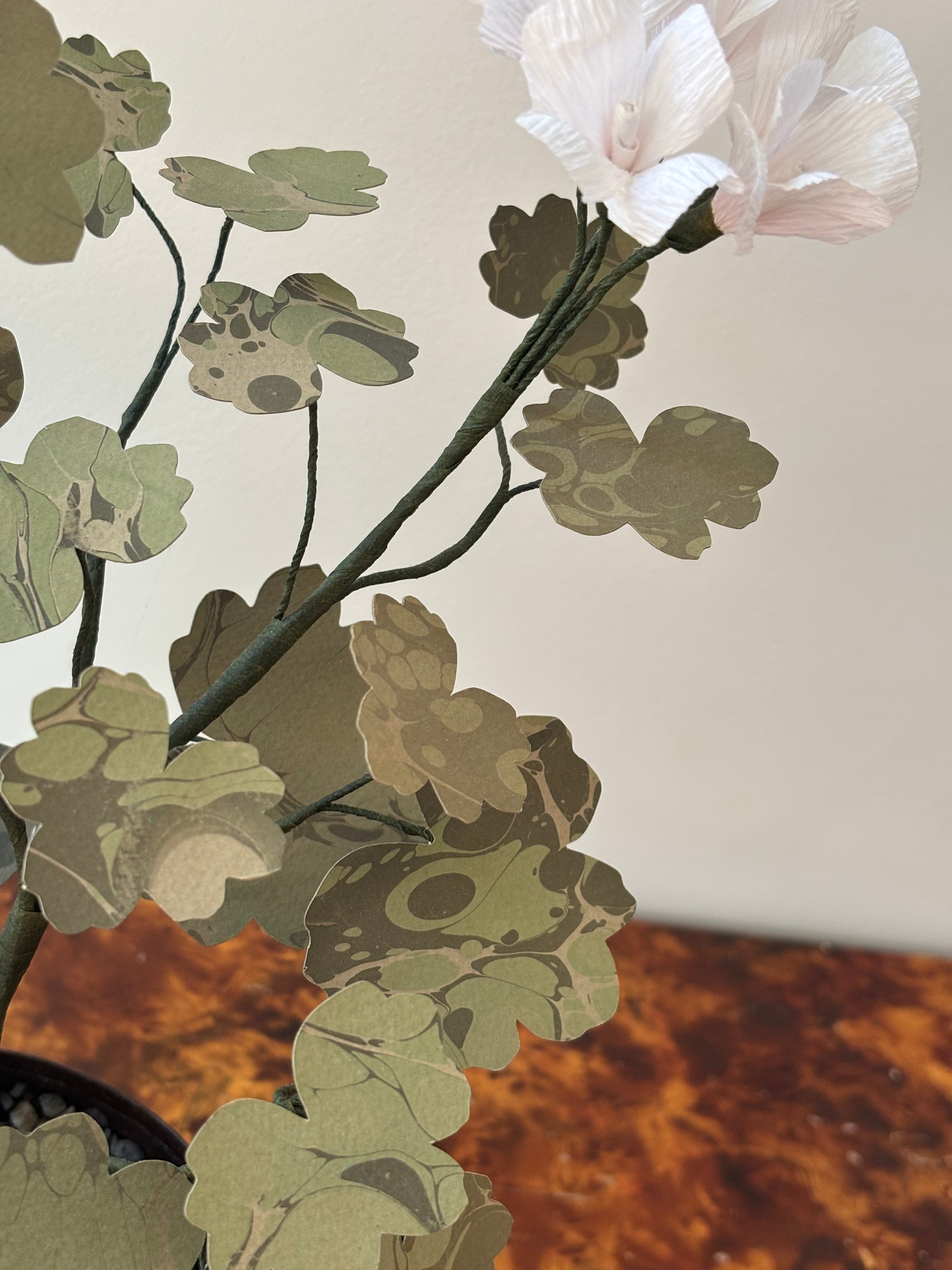 Paper Geranium