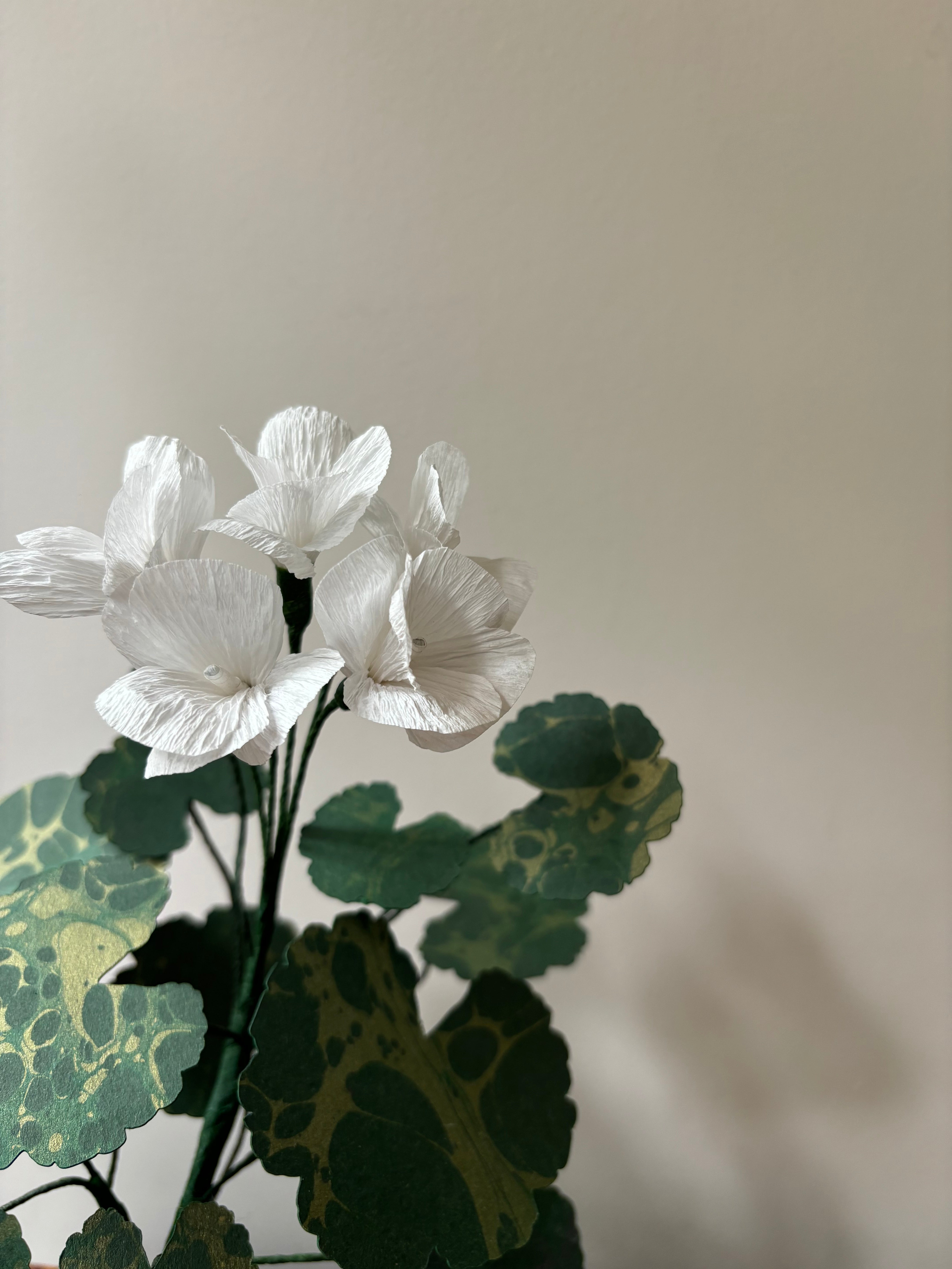 Paper Geranium