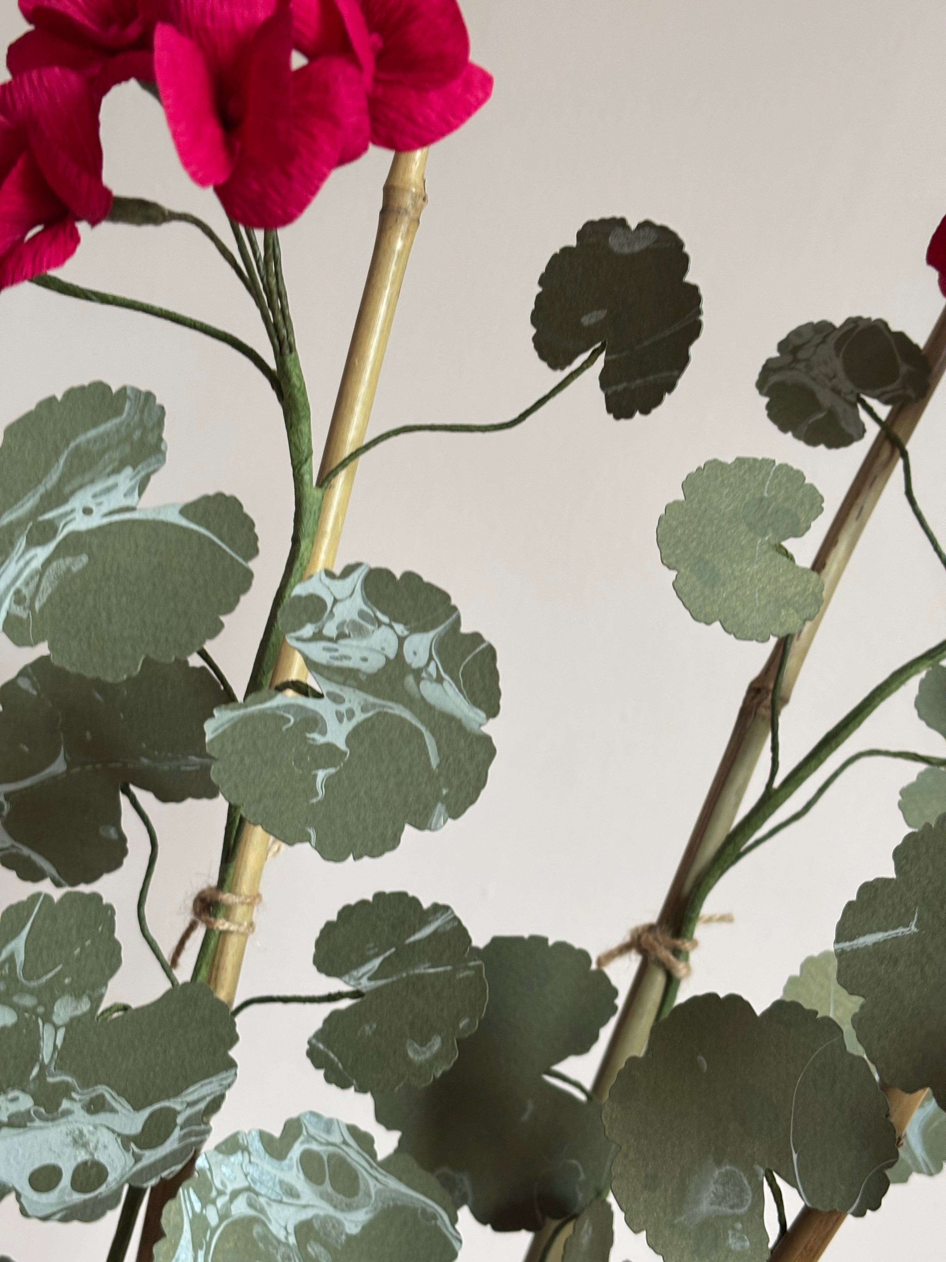 Paper Geranium