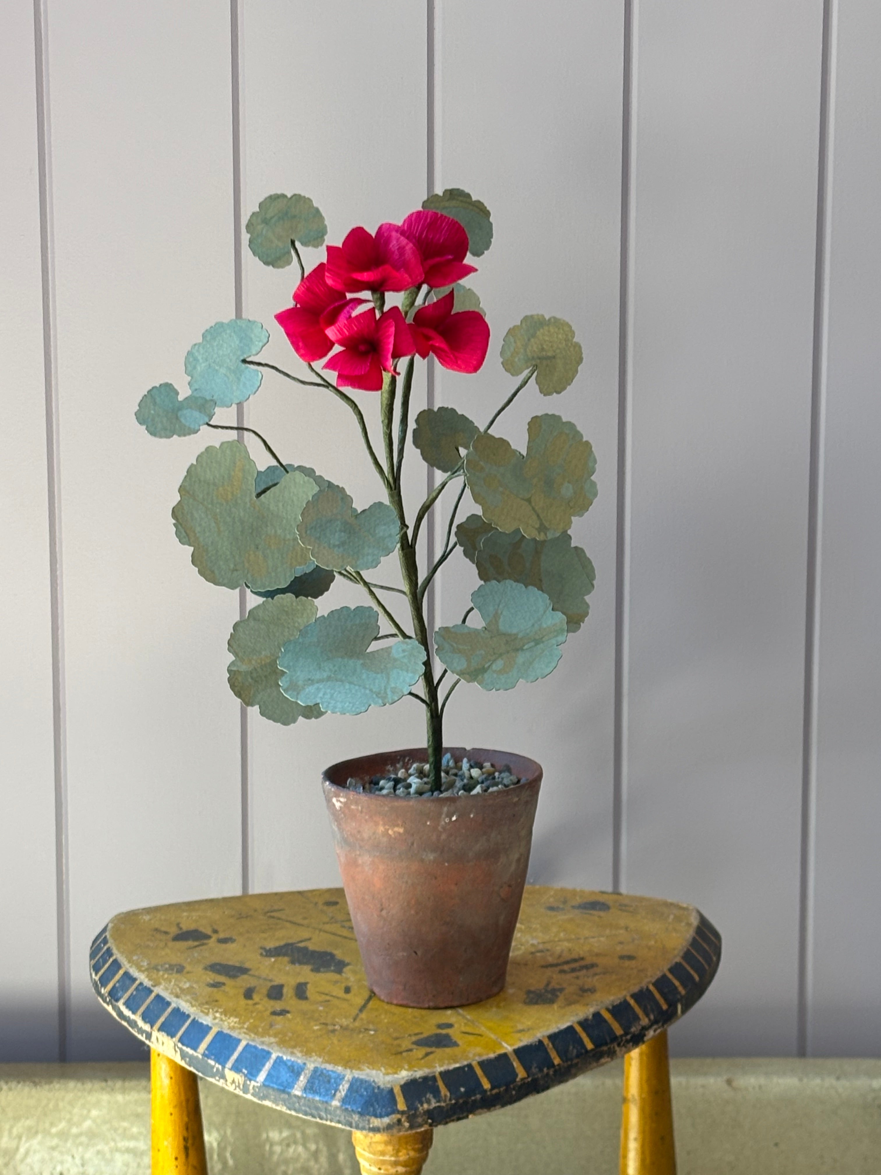 Paper geranium