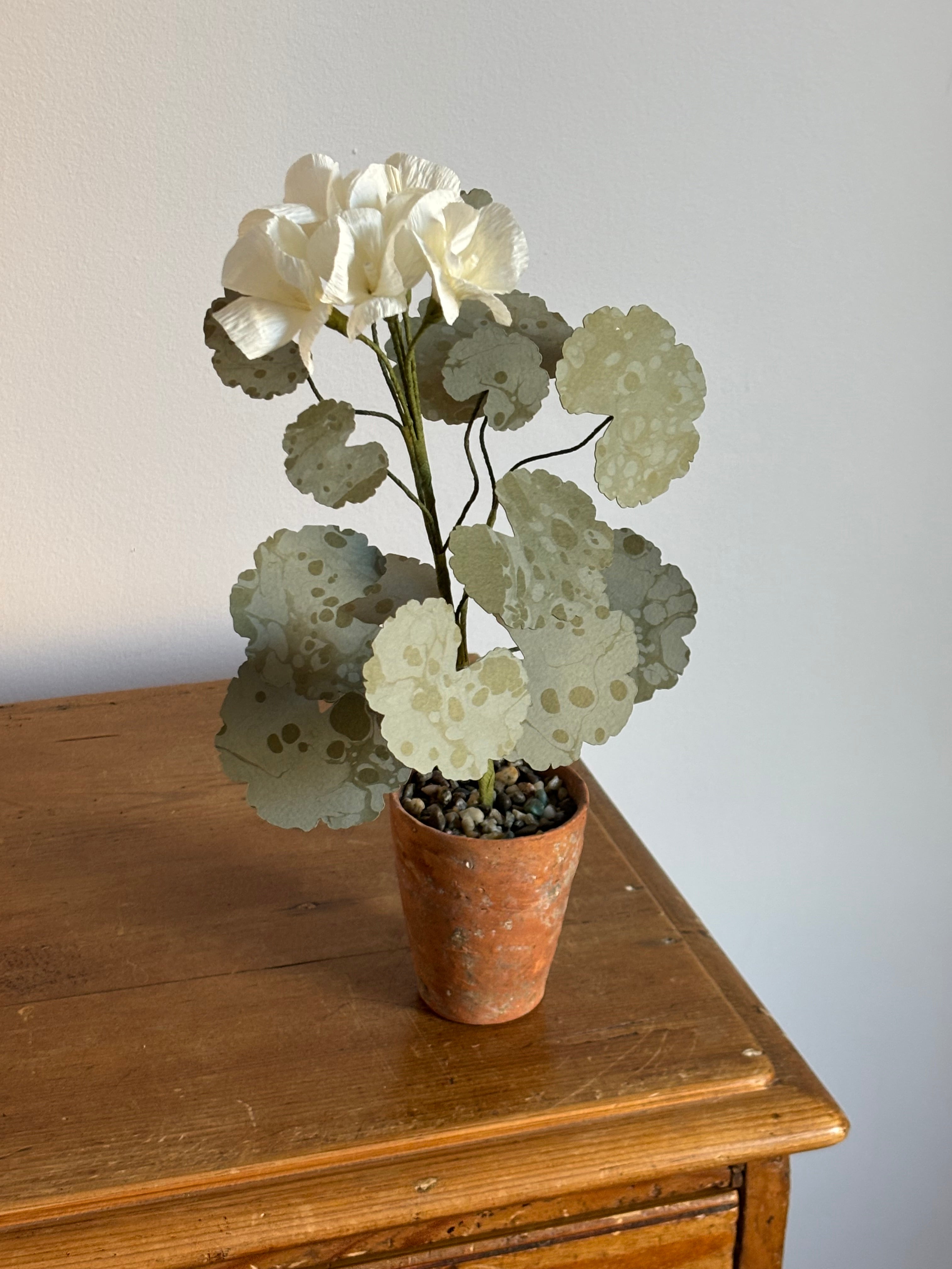 Paper Geranium