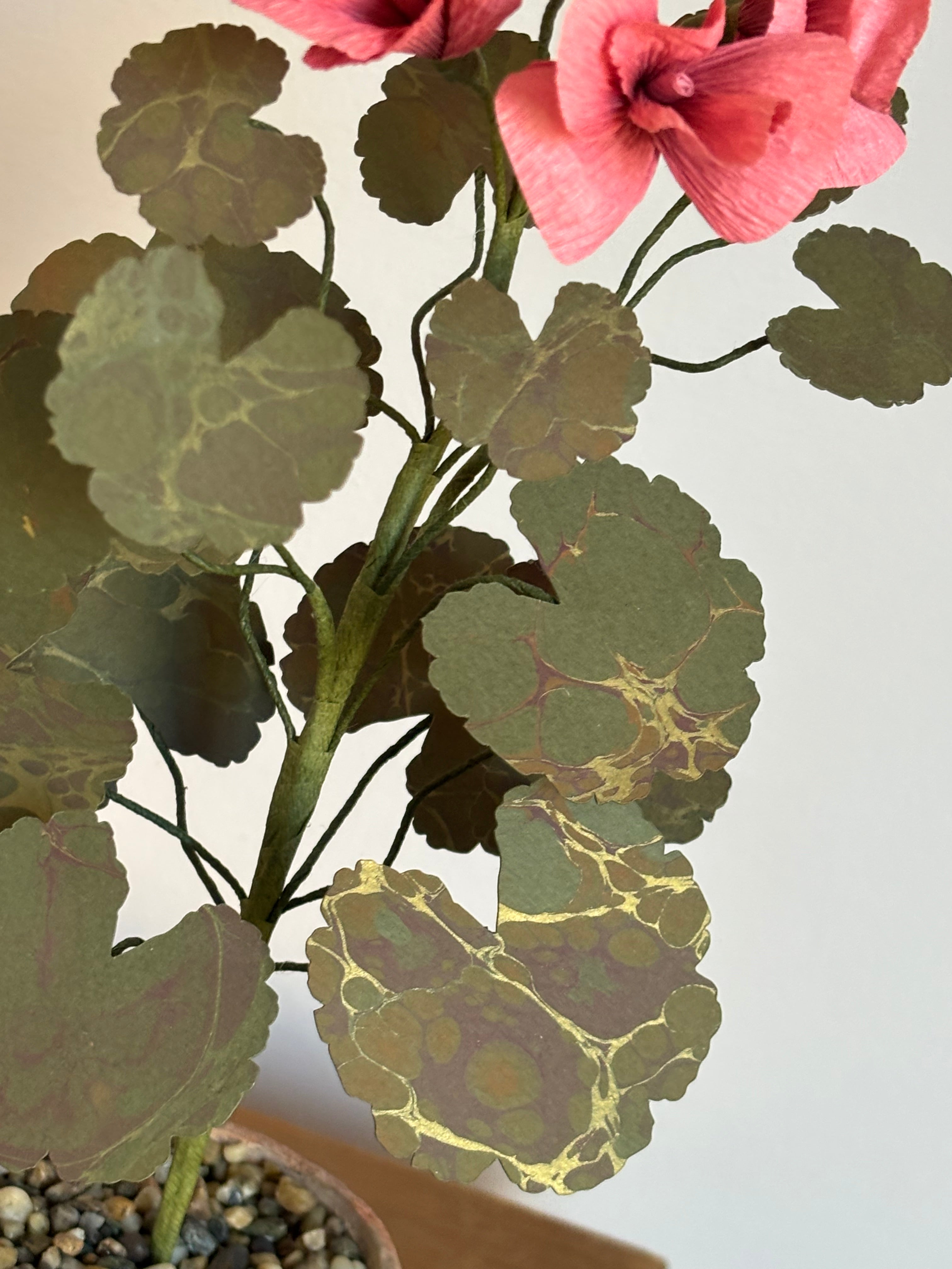 Paper Geranium