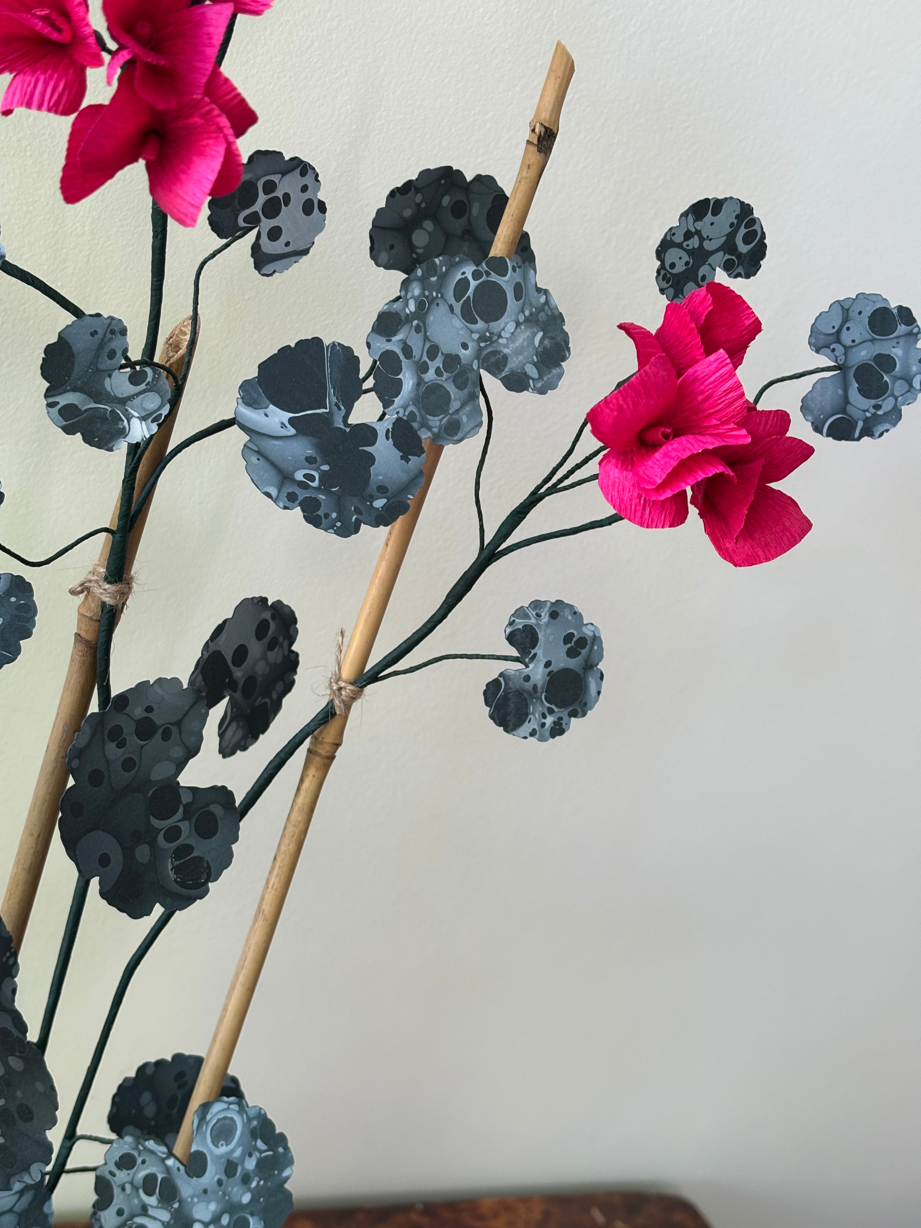 Paper Geranium