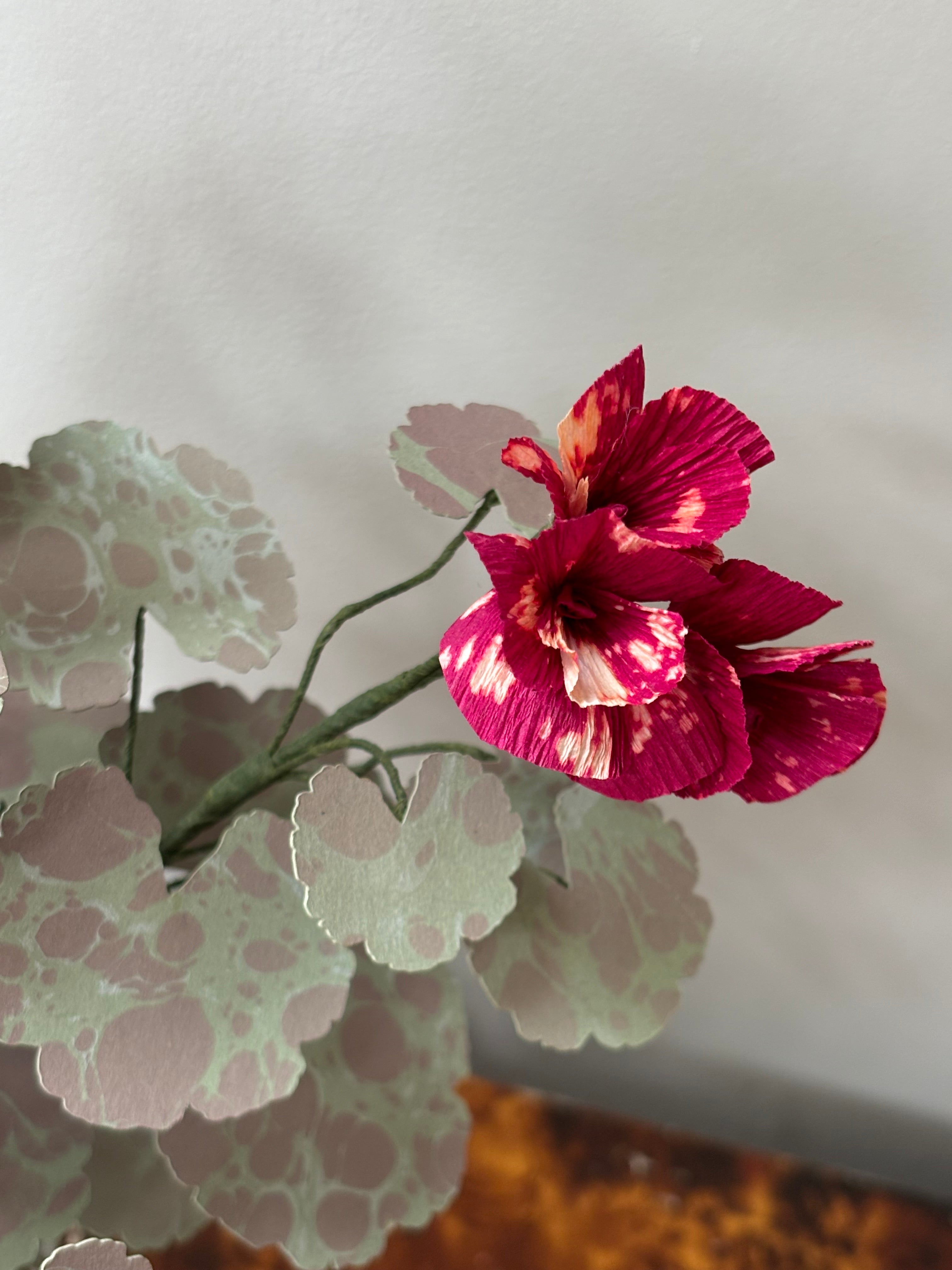 Paper Geranium